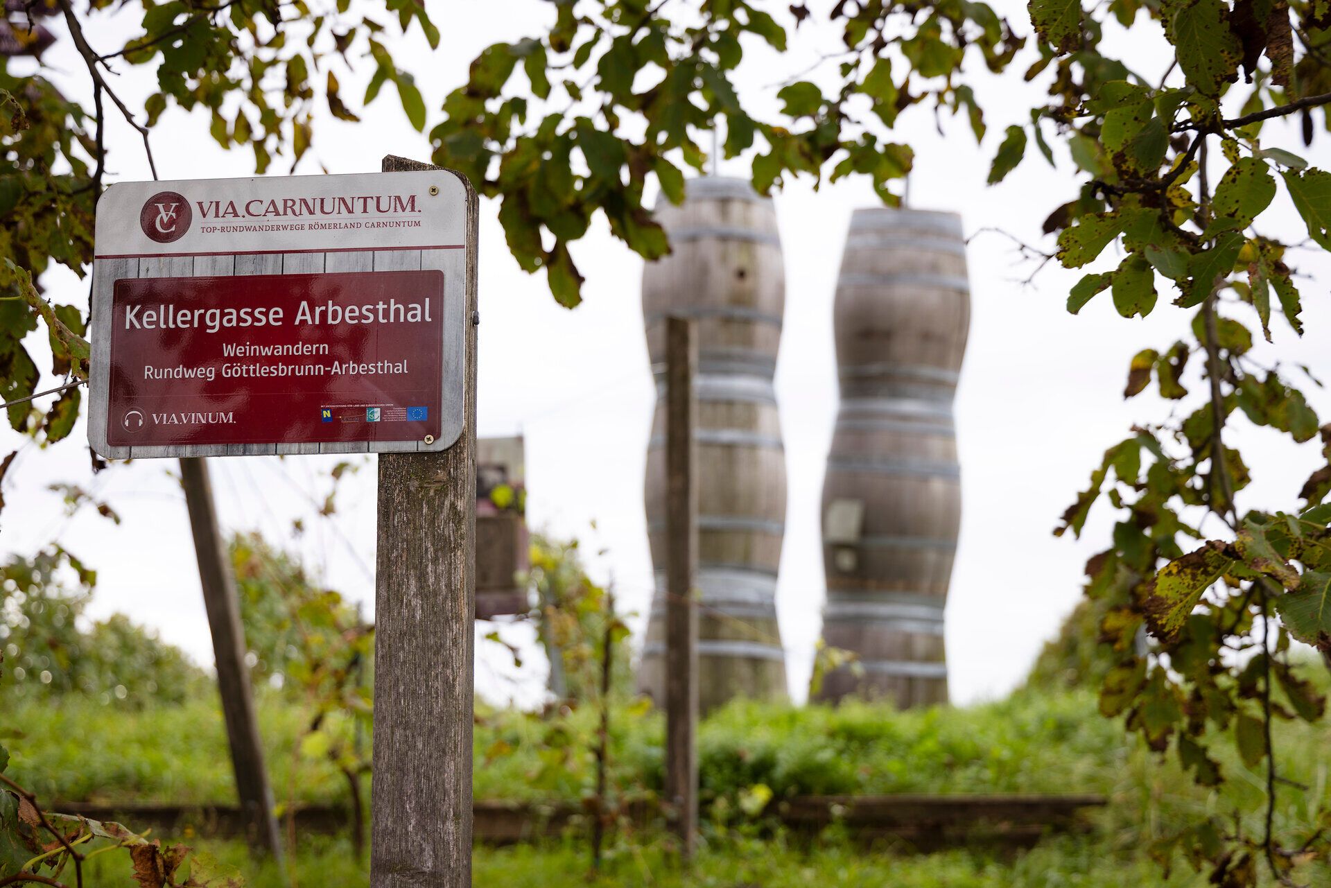 Green vineyard and a hiking sign with the inscription "Kellergasse Arbesthal". 