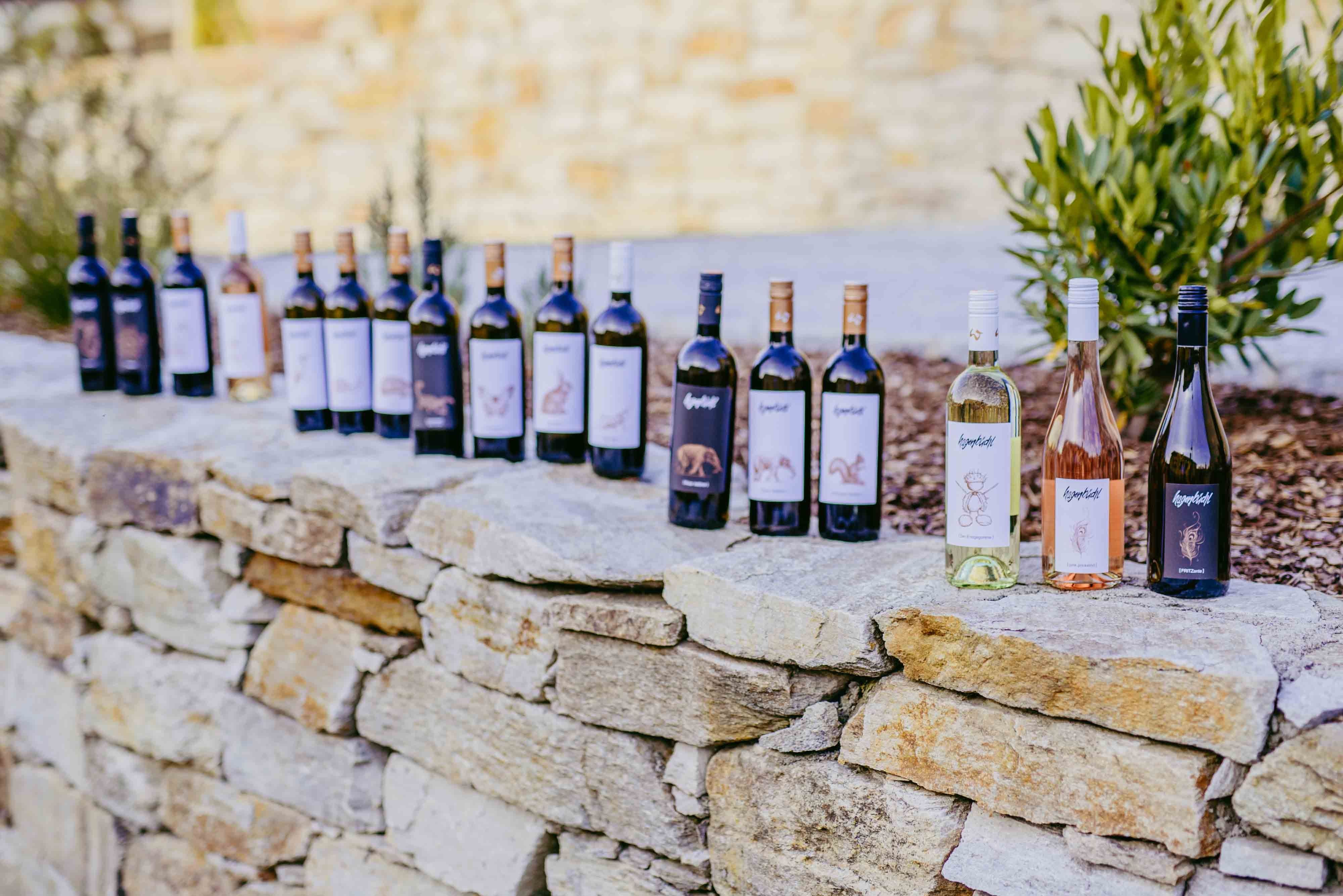 Row of wine bottles on a stone wall outside.