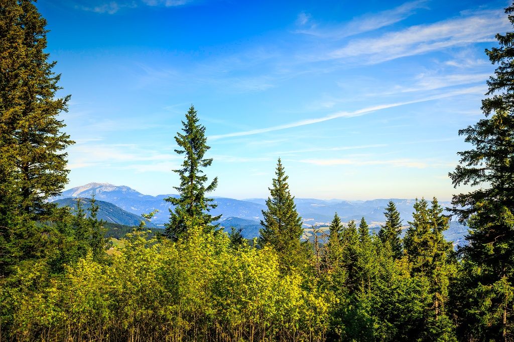 Kampsteiner Schwaig with a view of Schneeberg