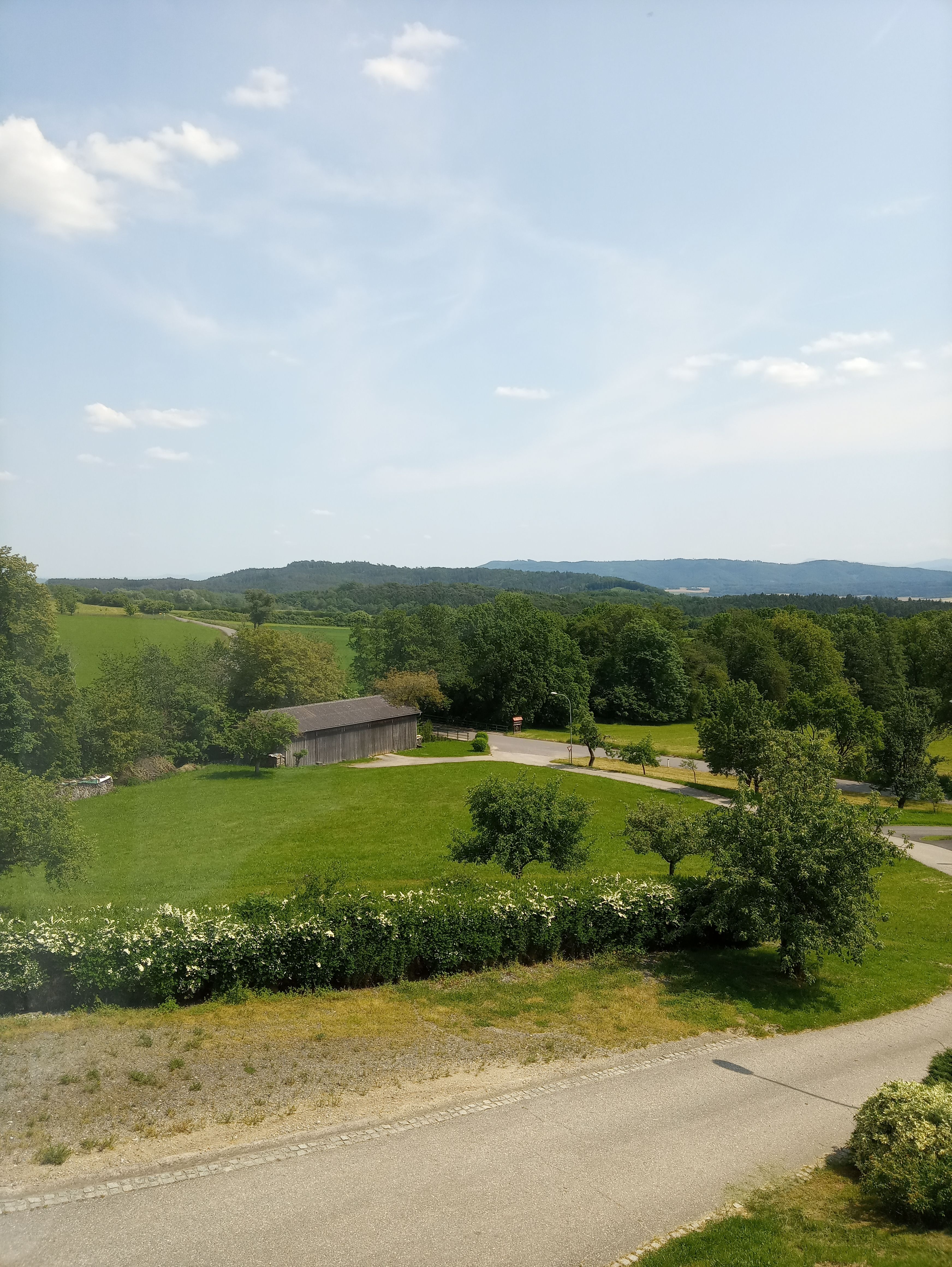 Landscape with meadow, trees and a small building under a blue sky.