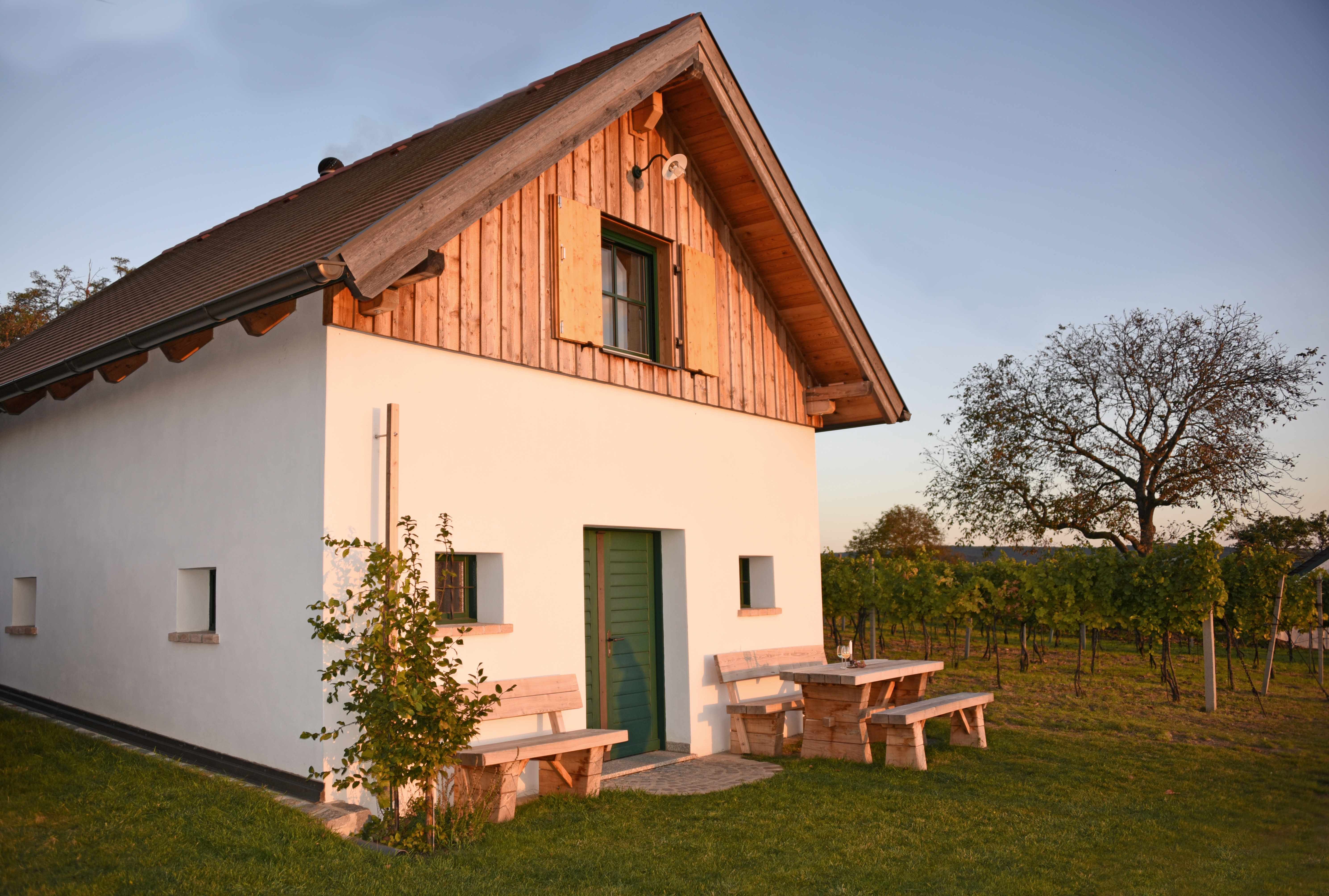 A small house with wooden elements and a green door, surrounded by vines and a tree in the sunset.