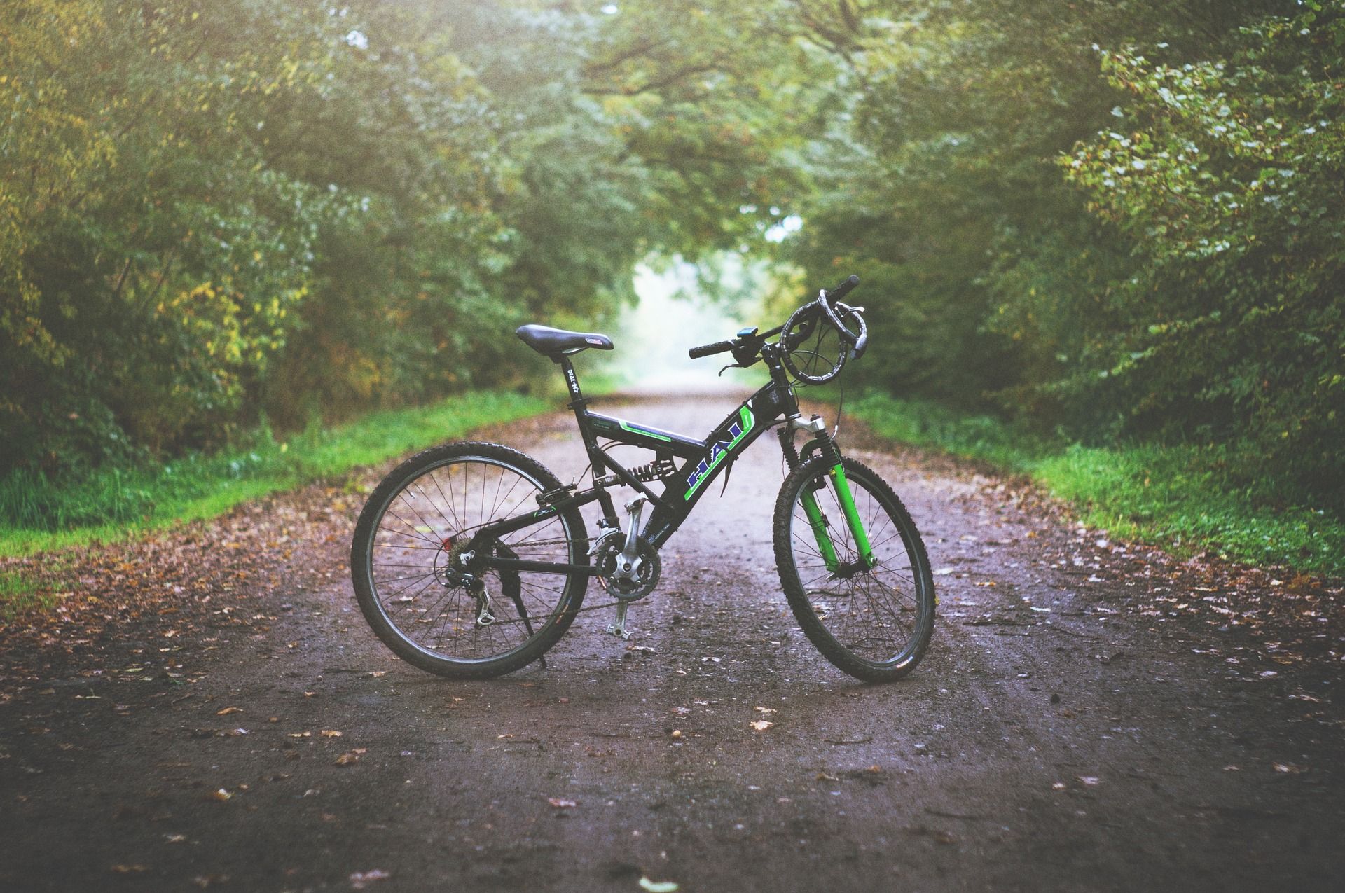 Mountain bike