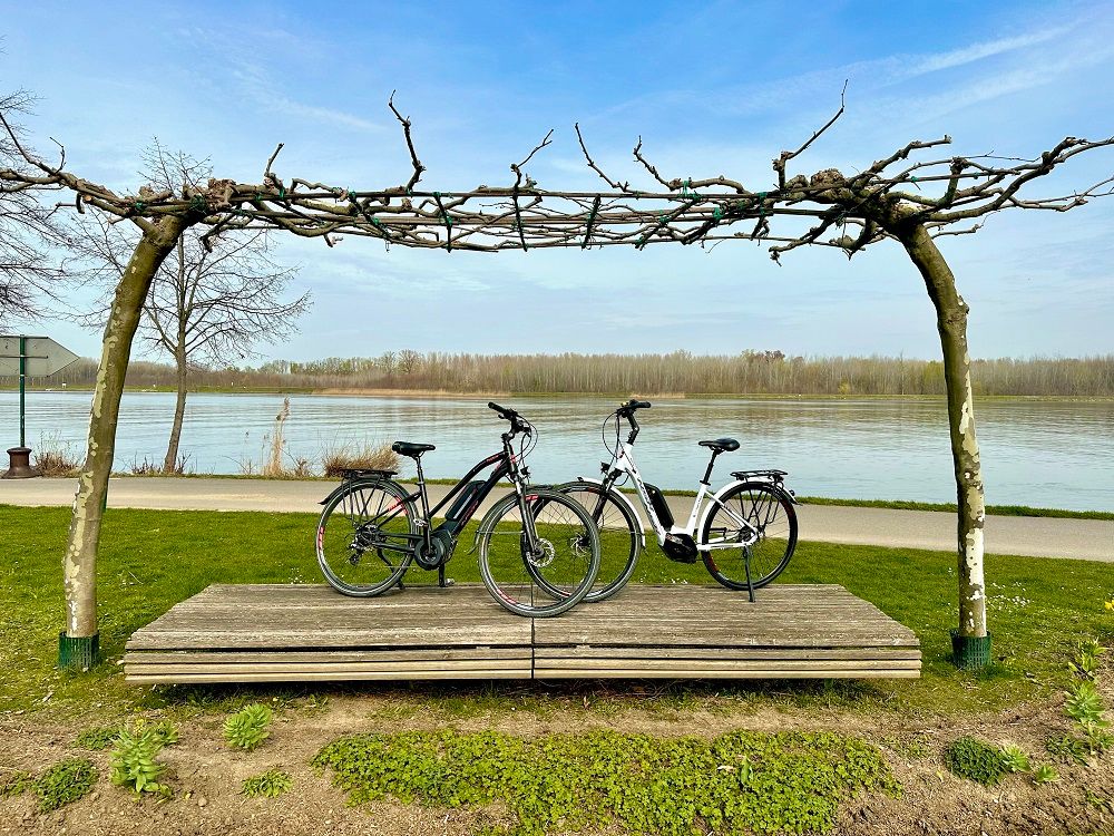 Two e-bikes are parked on a wooden platform on the riverbank, surrounded by trees and a clear sky.