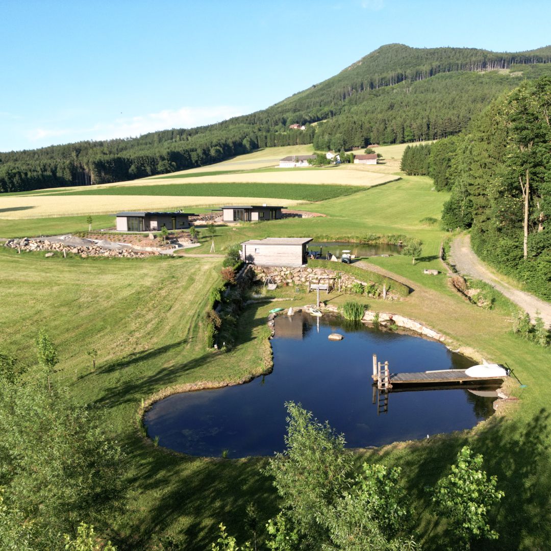 Landscape with pond, meadow and Peilstein in the background.