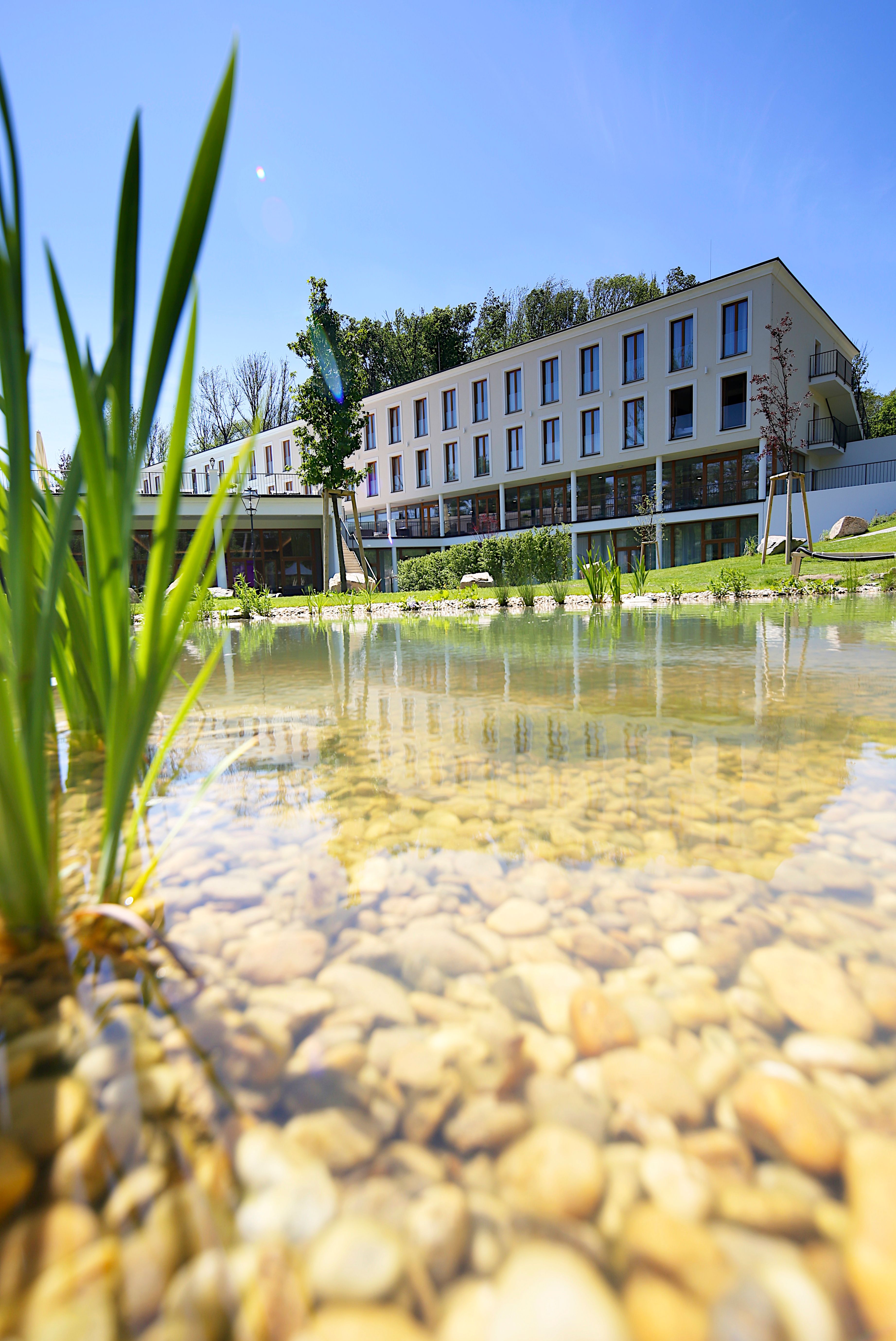 A modern building with a terrace in a green park with flowers and trees.