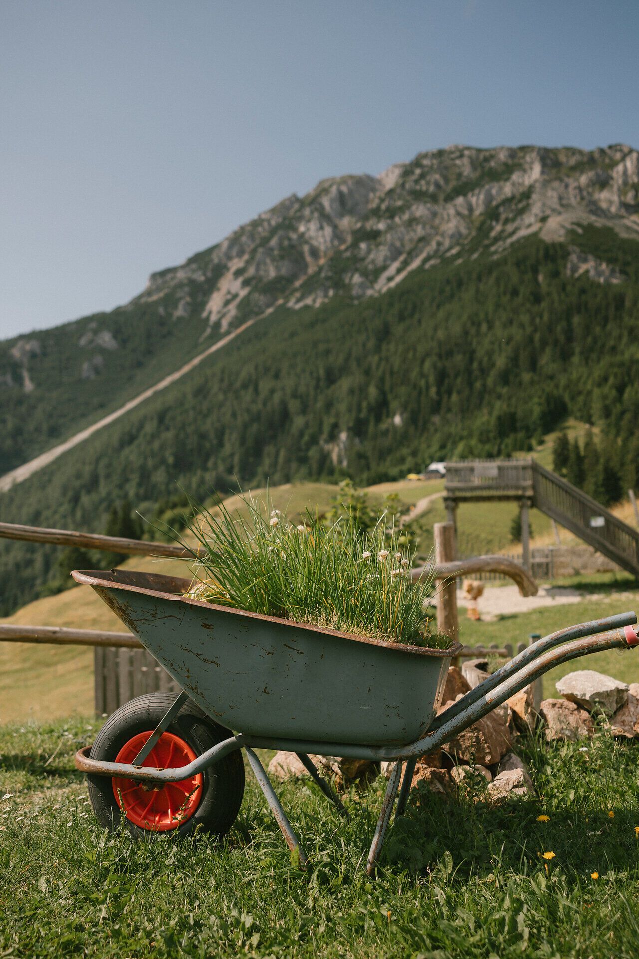 A wheelbarrow filled with plants as decoration, set against a mountain panorama, at the Almreserlhaus on the Schneeberg