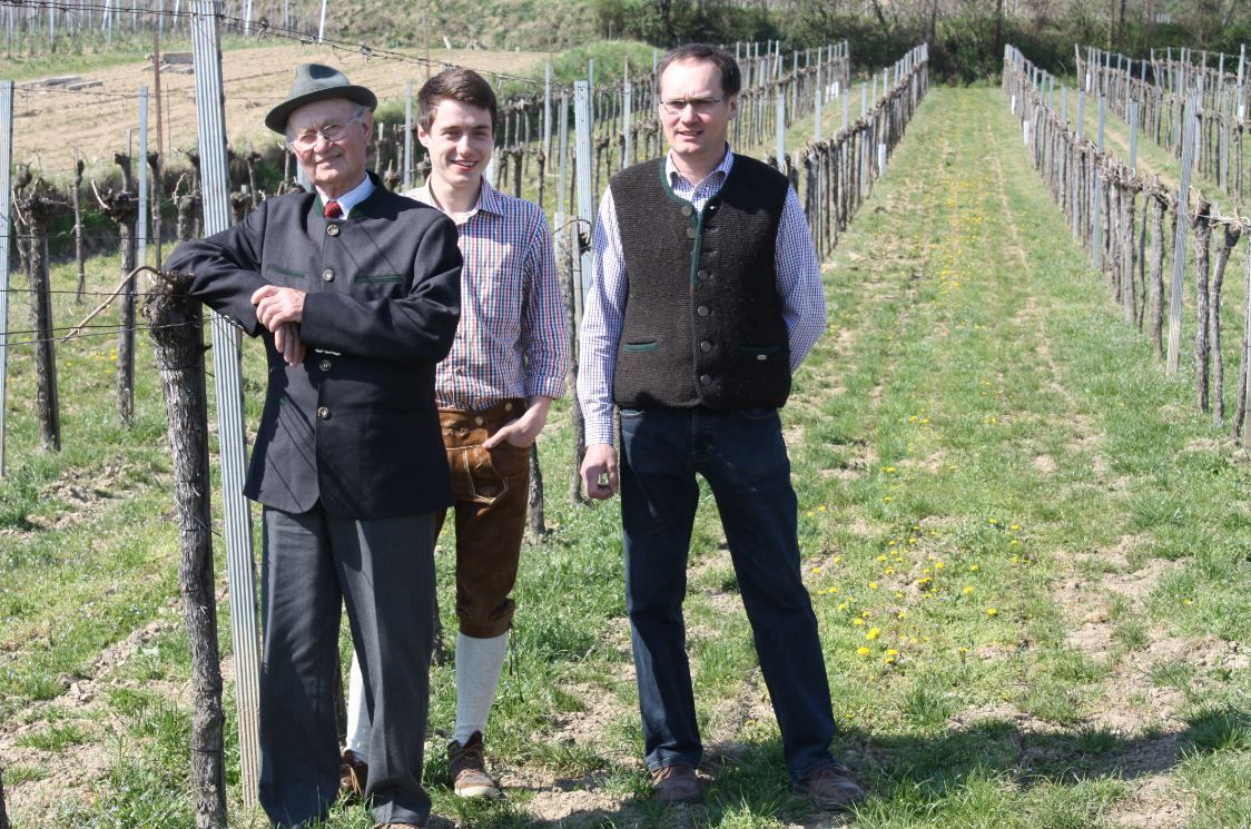 Viticulture Walter Polsterer