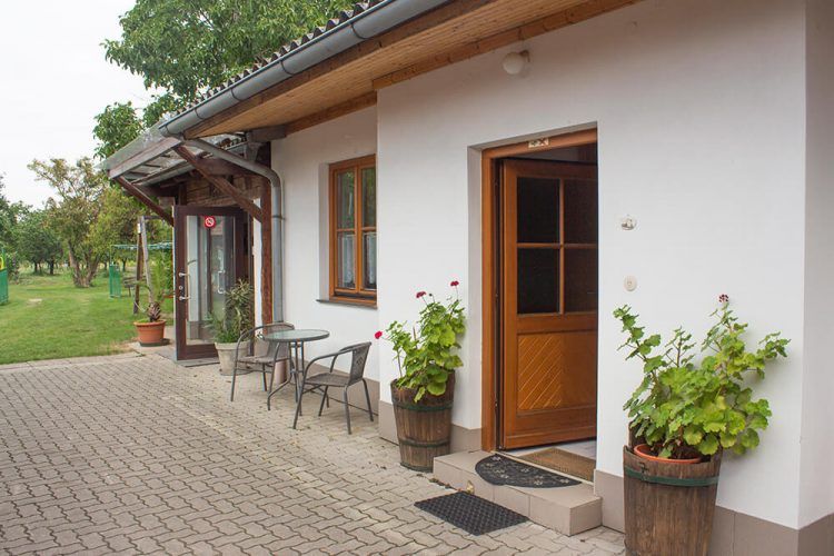Exterior view of a garden room with wooden door, windows and plants in pots.