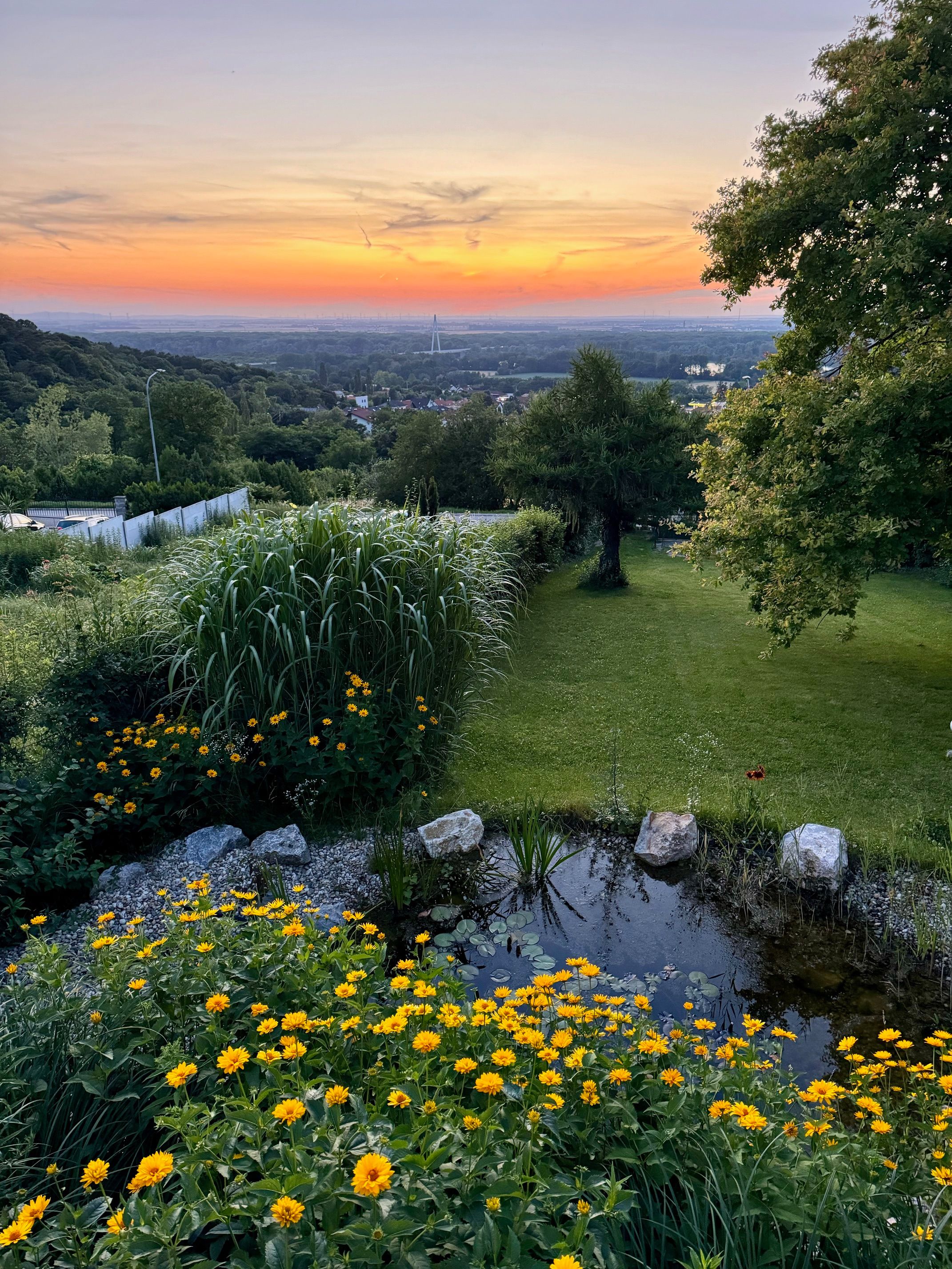Sunset over Hainburg an der Donau from the garden of Chalet Auenblick with yellow flowers and a small pond in the foreground.