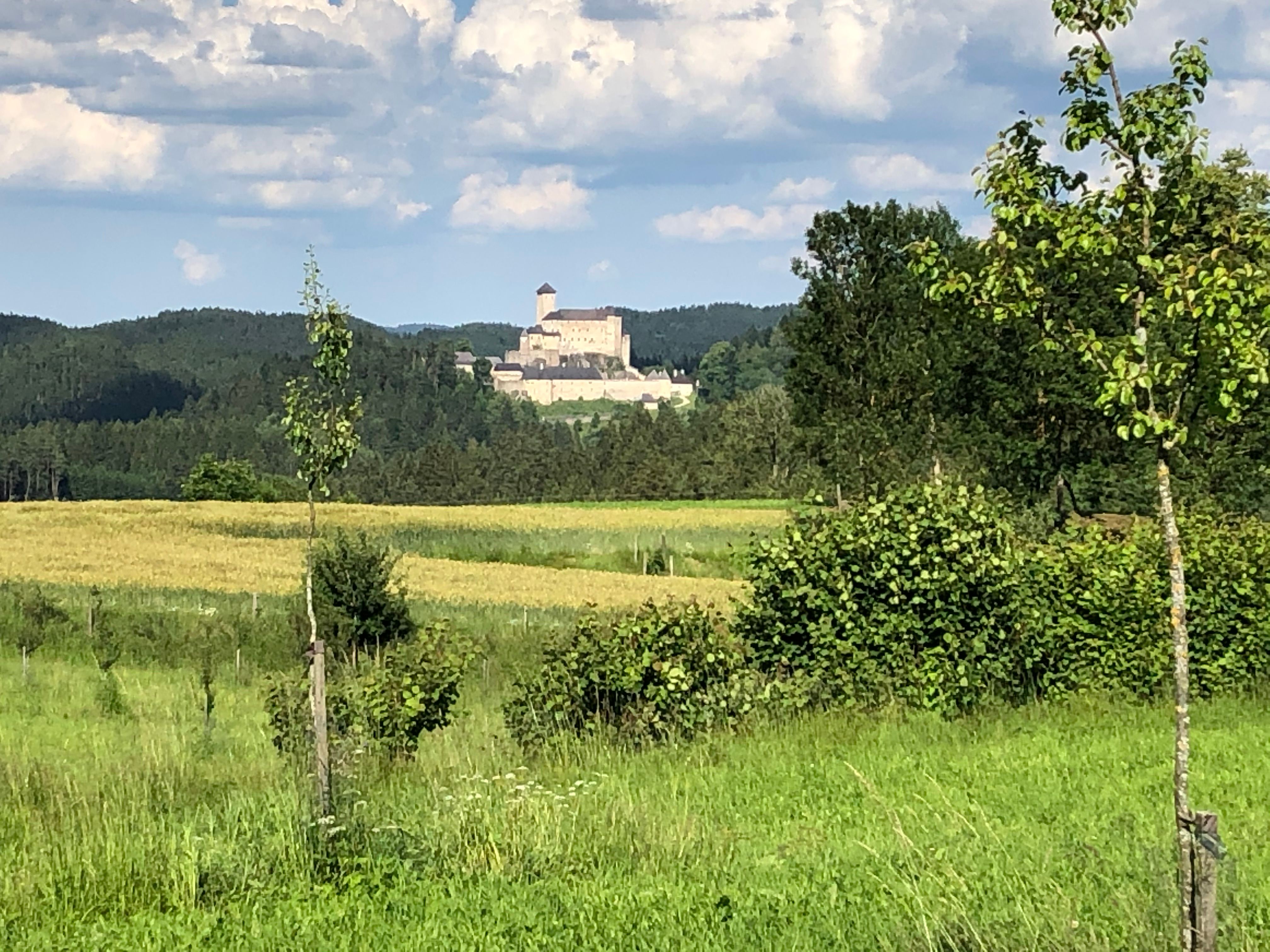 Castle view