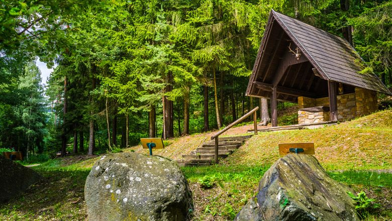 An educational forest trail with a wooden shelter and information boards in a green forest.