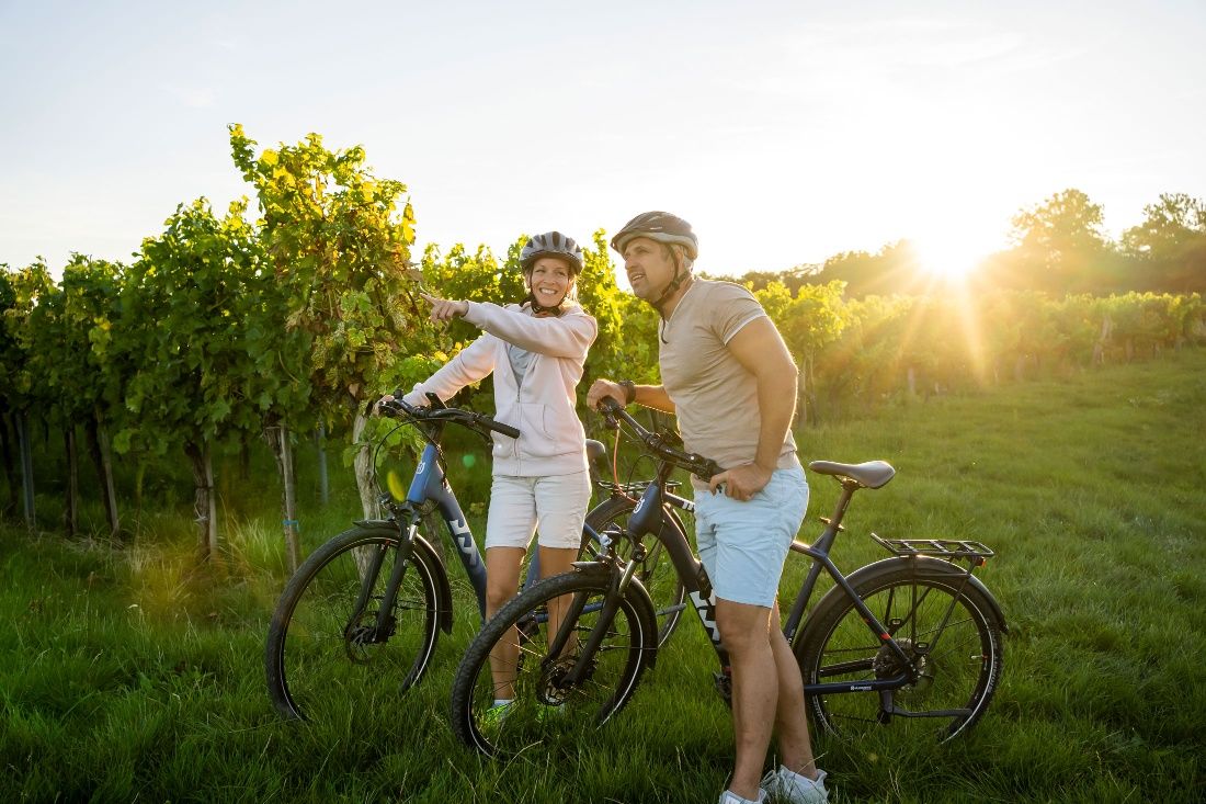 Cycling in the Kamp Valley ("Kamptal" in German)