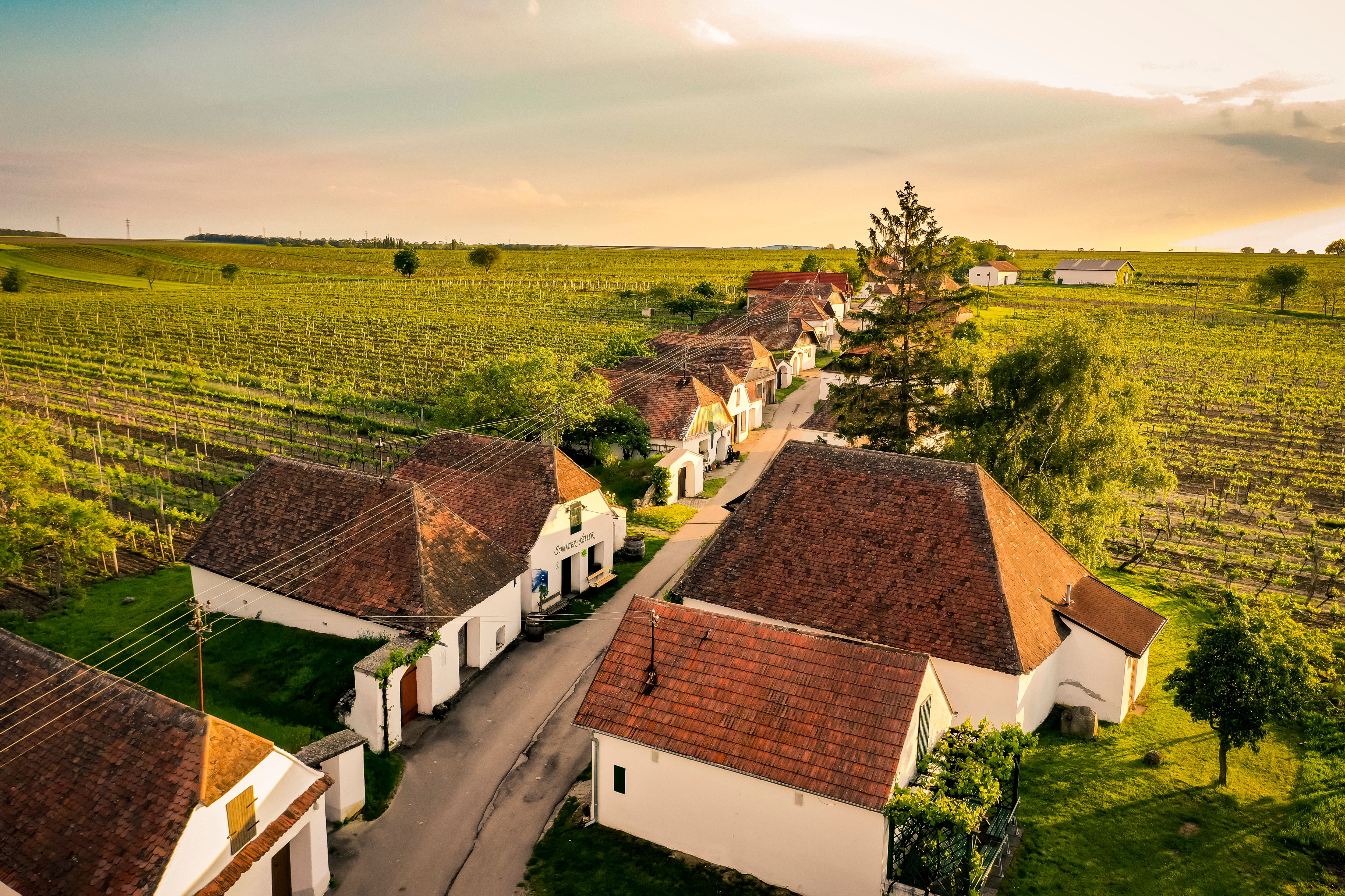Aerial view of the wine cellar lane in Zellerndorf with vineyards and traditional buildings.