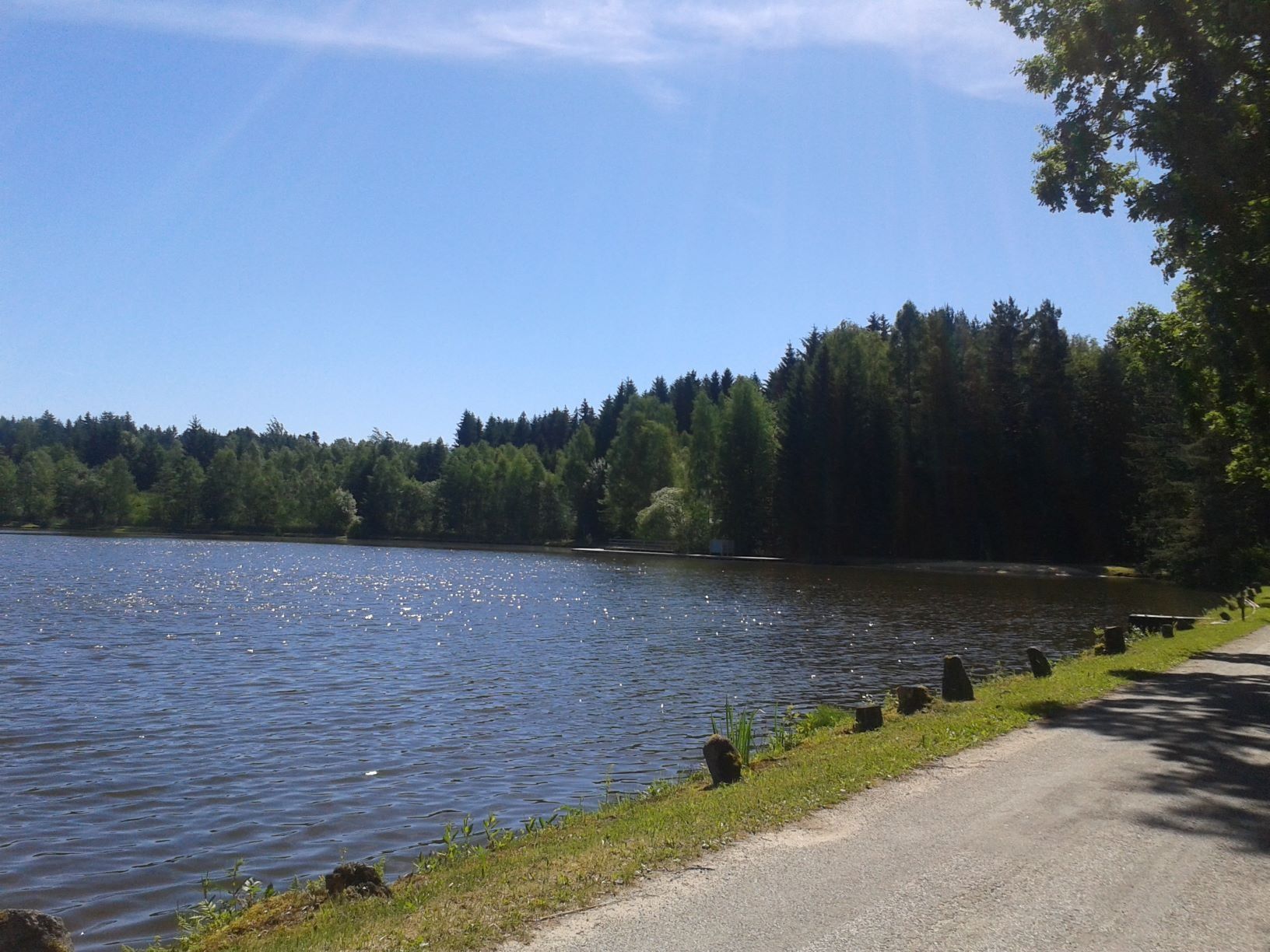 Pond