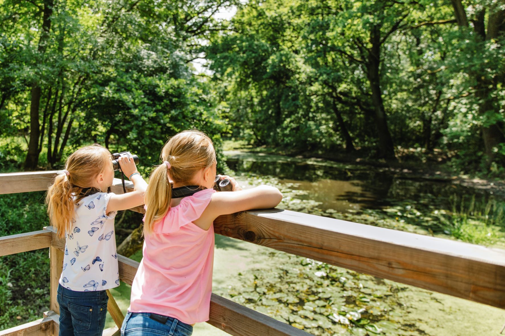 Floodplain nature trail