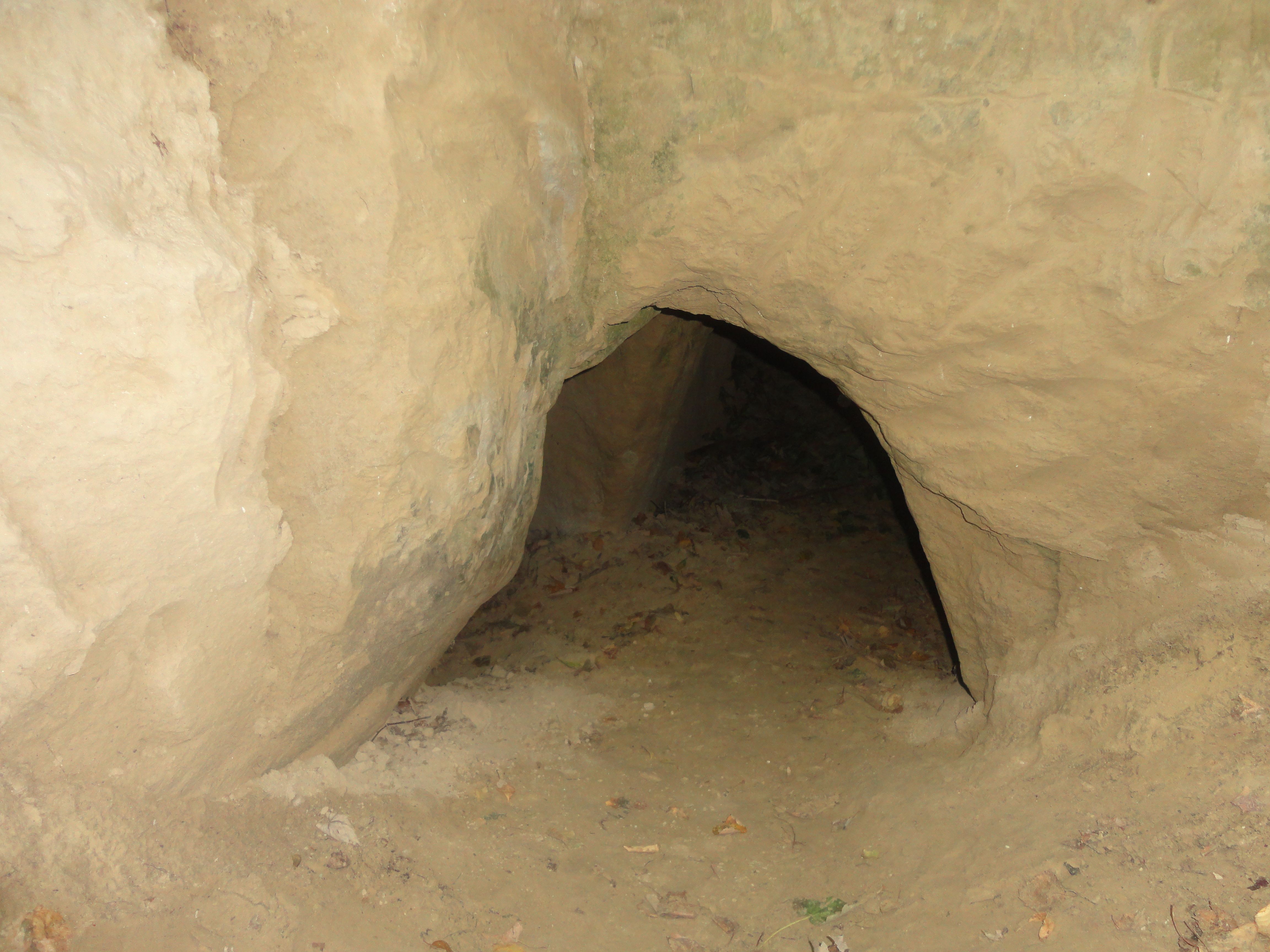 A small, earthy cave entrance in a sandy rock face.