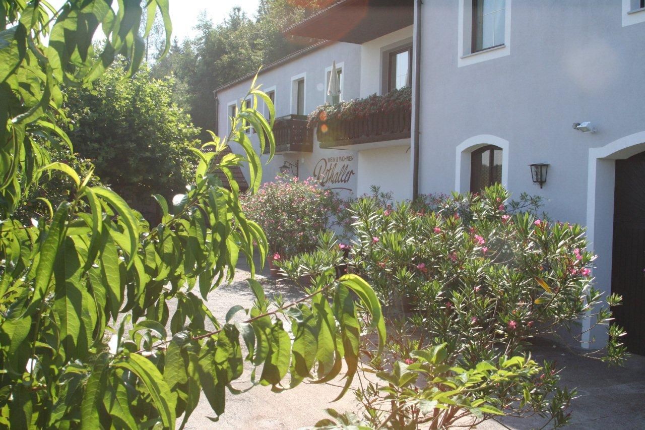Exterior view of a building with a balcony and flowering shrubs in the foreground.