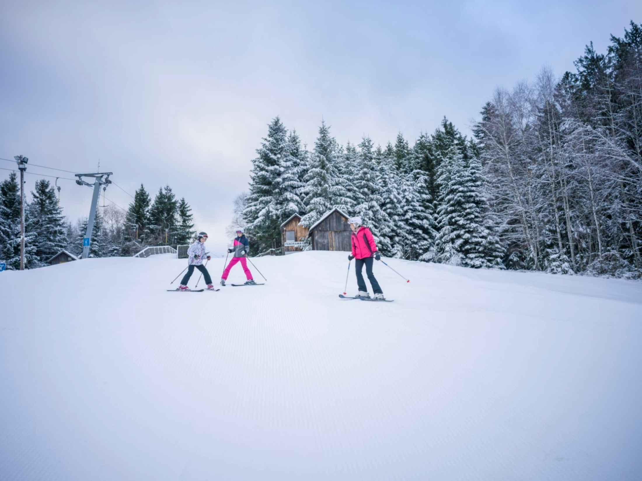 Three skiers on a snowy slope with trees in the background.
