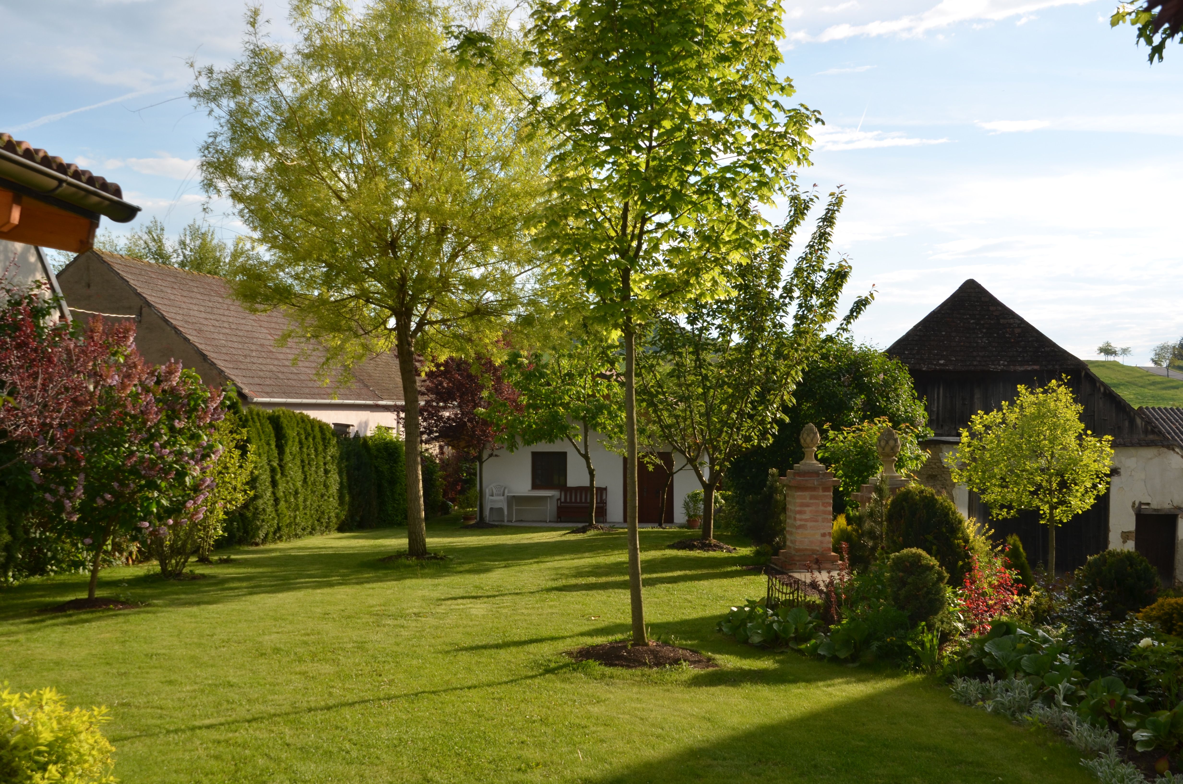 A well-tended garden with lawn, trees and shrubs, surrounded by buildings and a blue sky in the background.