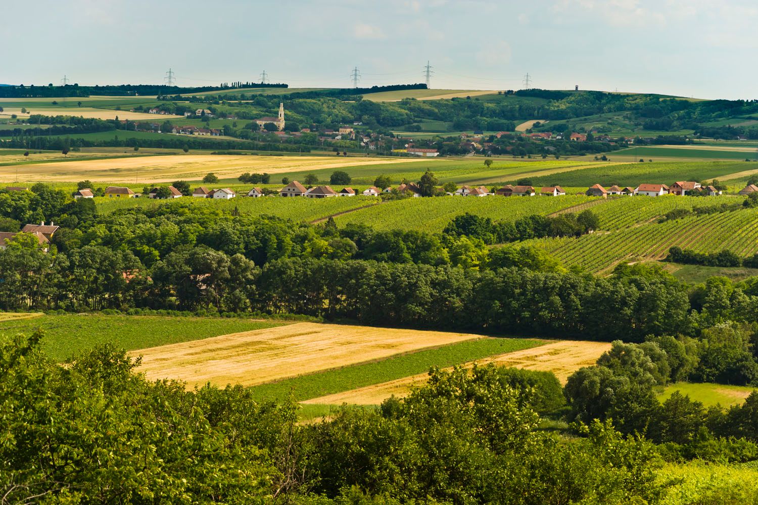Landscape with fields, trees and a village in the background.
