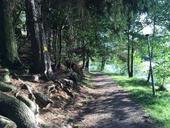 Hiking trail no. 31, nature and culture