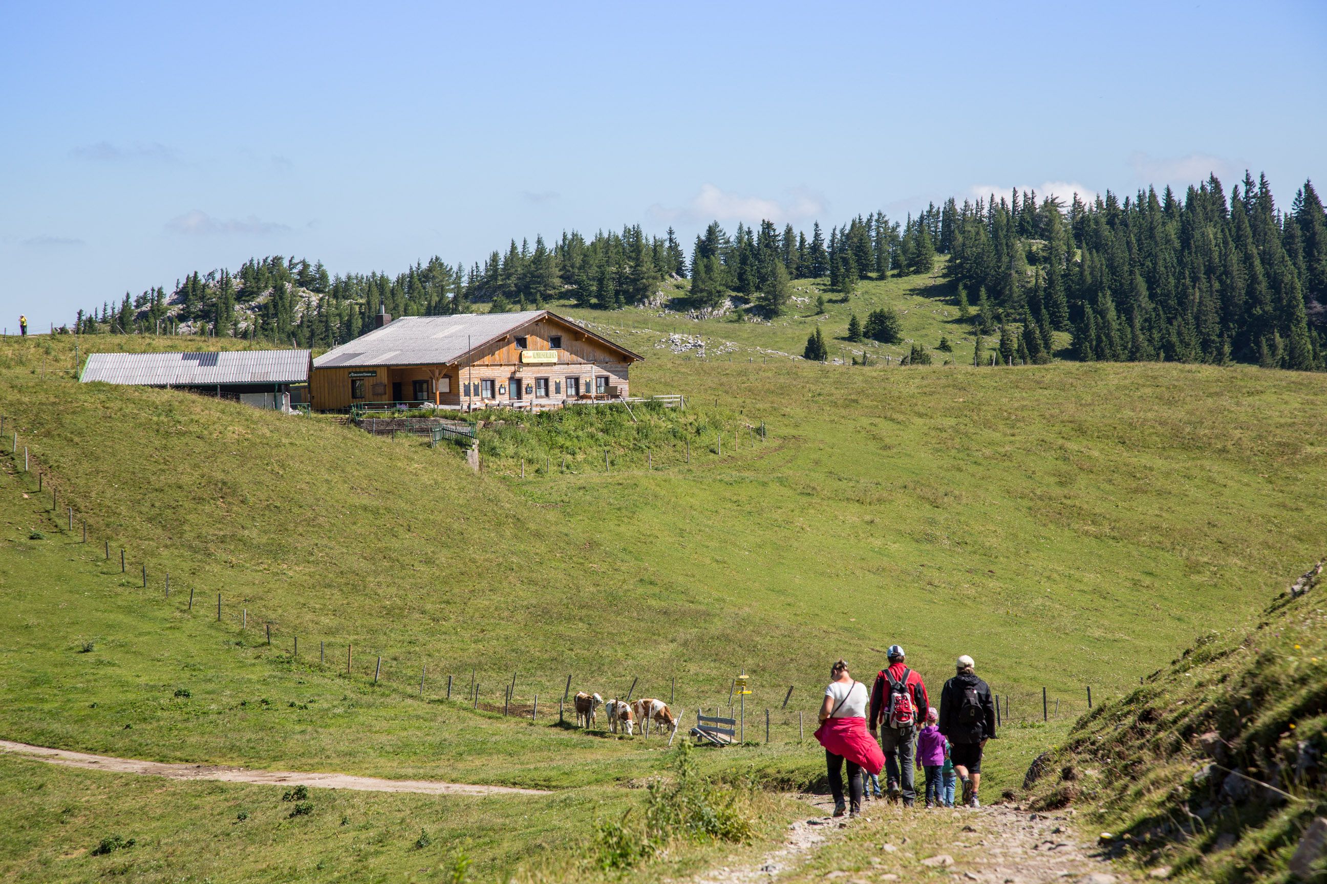A group of hikers approaches a mountain hut on a green alpine meadow.