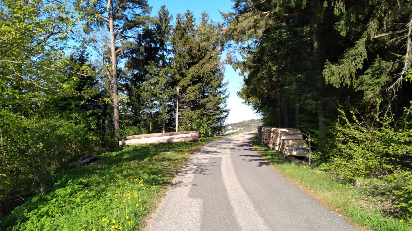 Way of the Cross