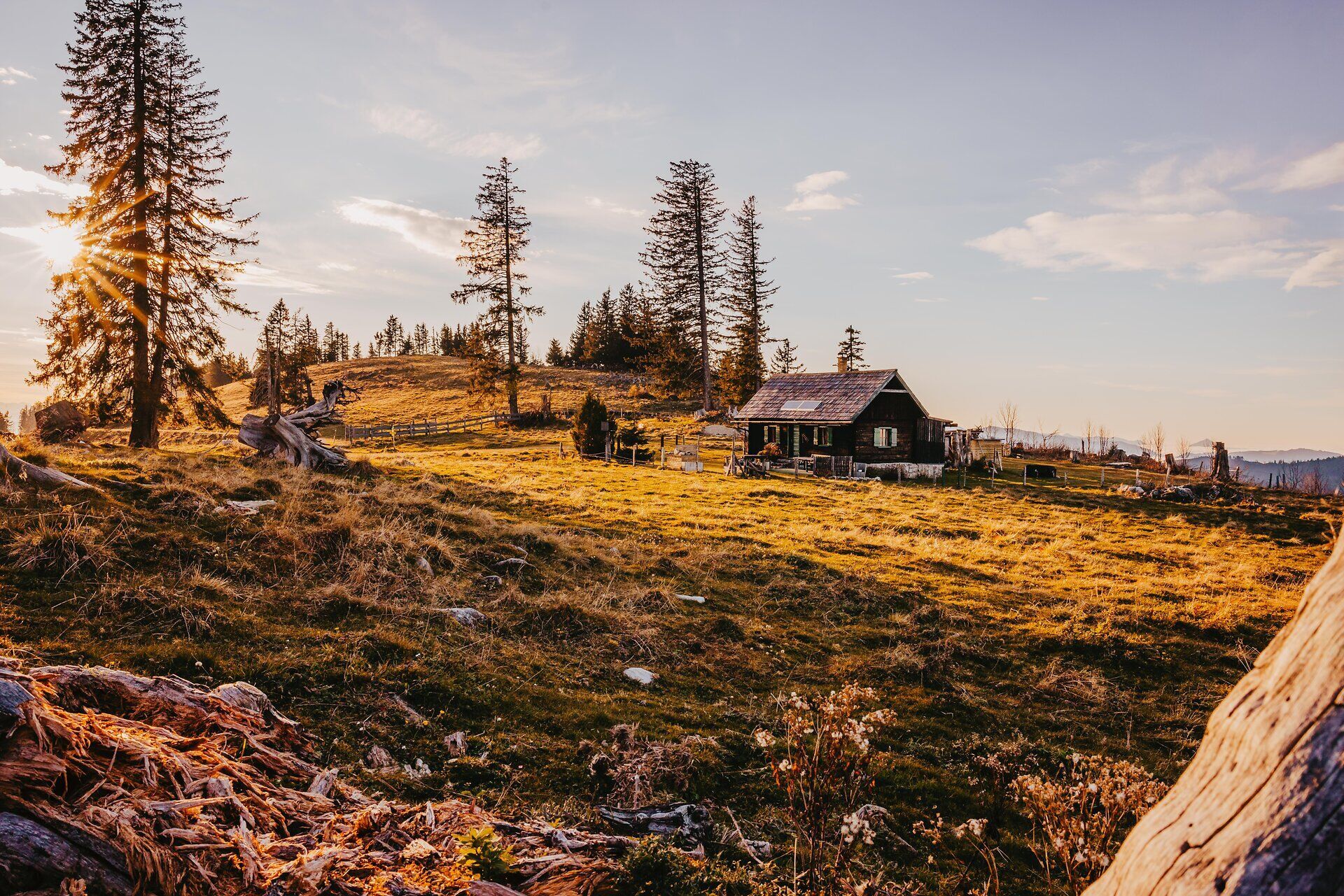 Die sanften Hügel des Mostviertels strahlen im warmen Licht des Herbstes. Ein charmantes Holzhaus steht einsam in der malerischen Landschaft, umgeben von hohen Tannen und goldenen Wiesen. Hier erleben Besucher die Ruhe und Schönheit der Natur in ihrer reinsten Form.
