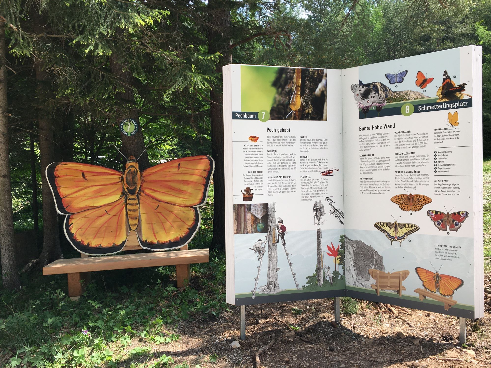 Information sign about butterflies in the forest with a butterfly bench next to it.