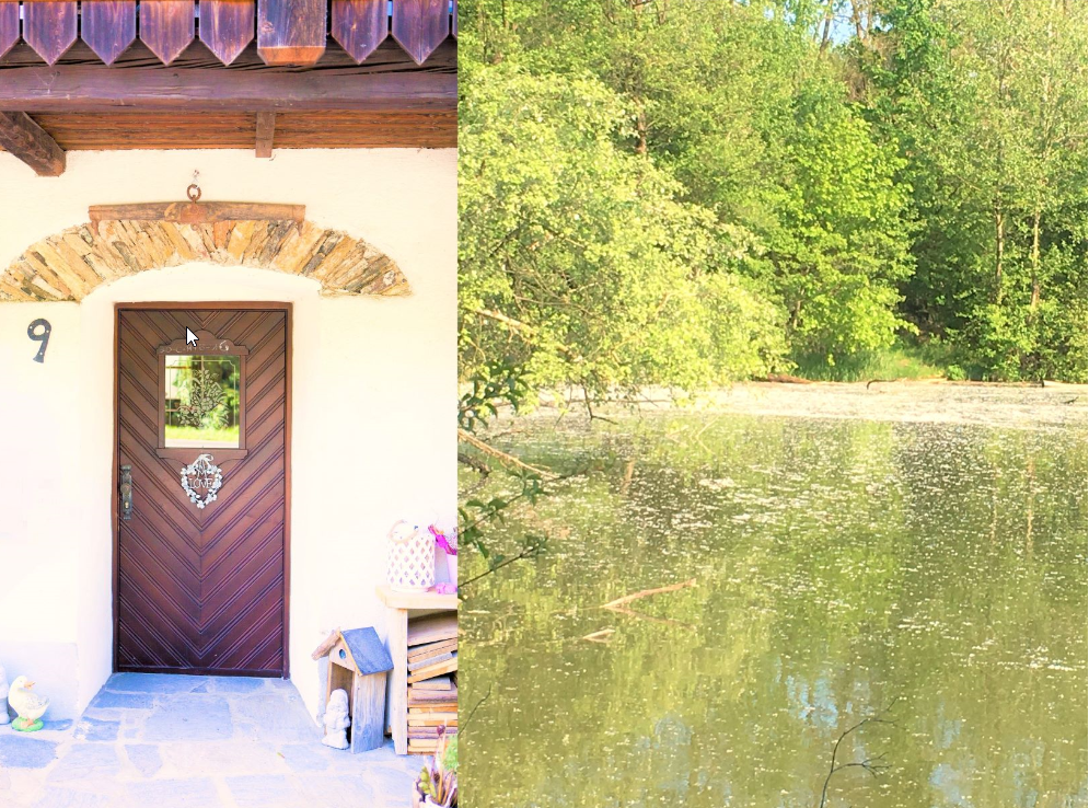 Front door of a cottage number 9 next to a pond with trees.