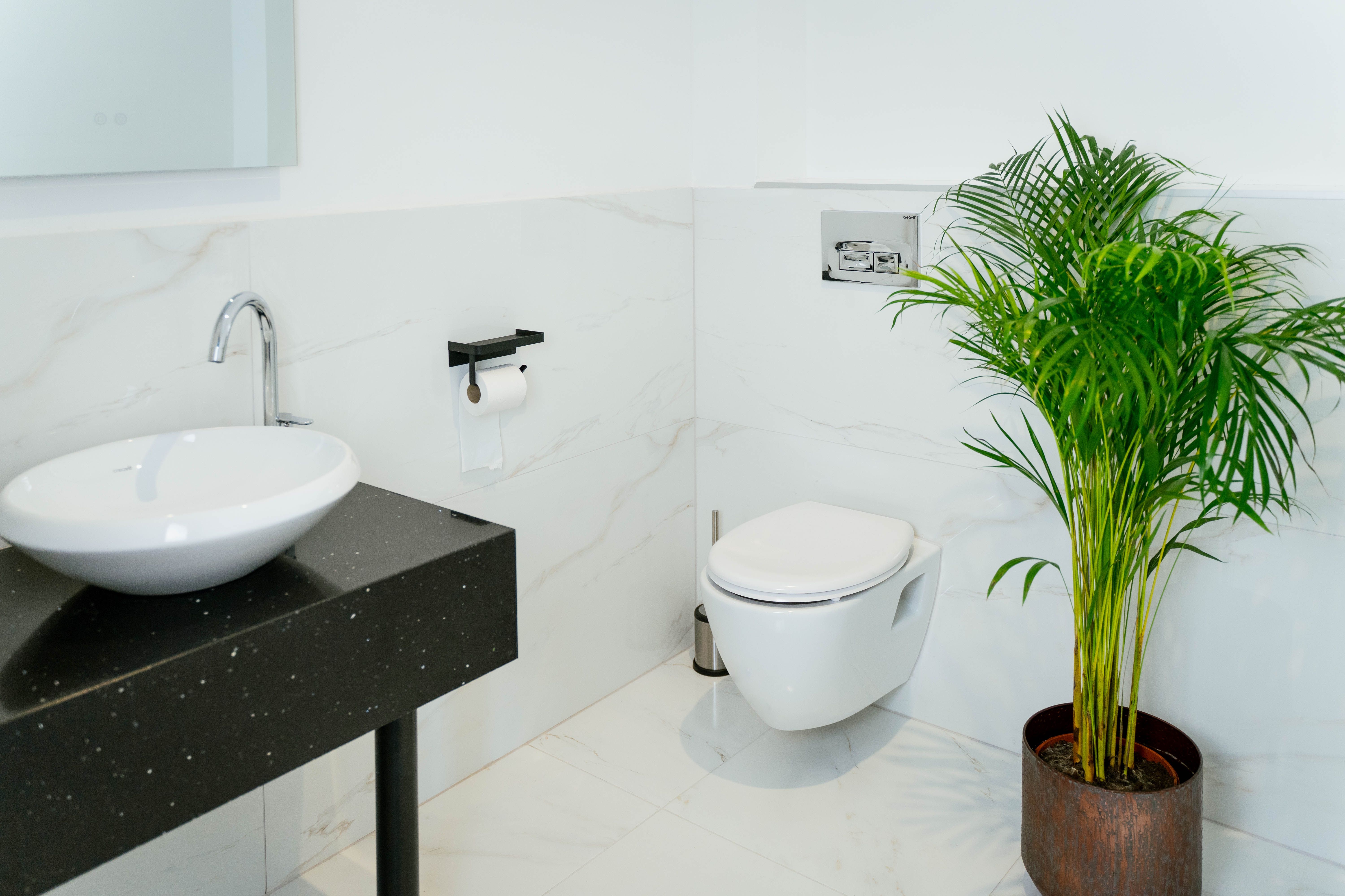 Modern bathroom with washbasin, toilet and plant.