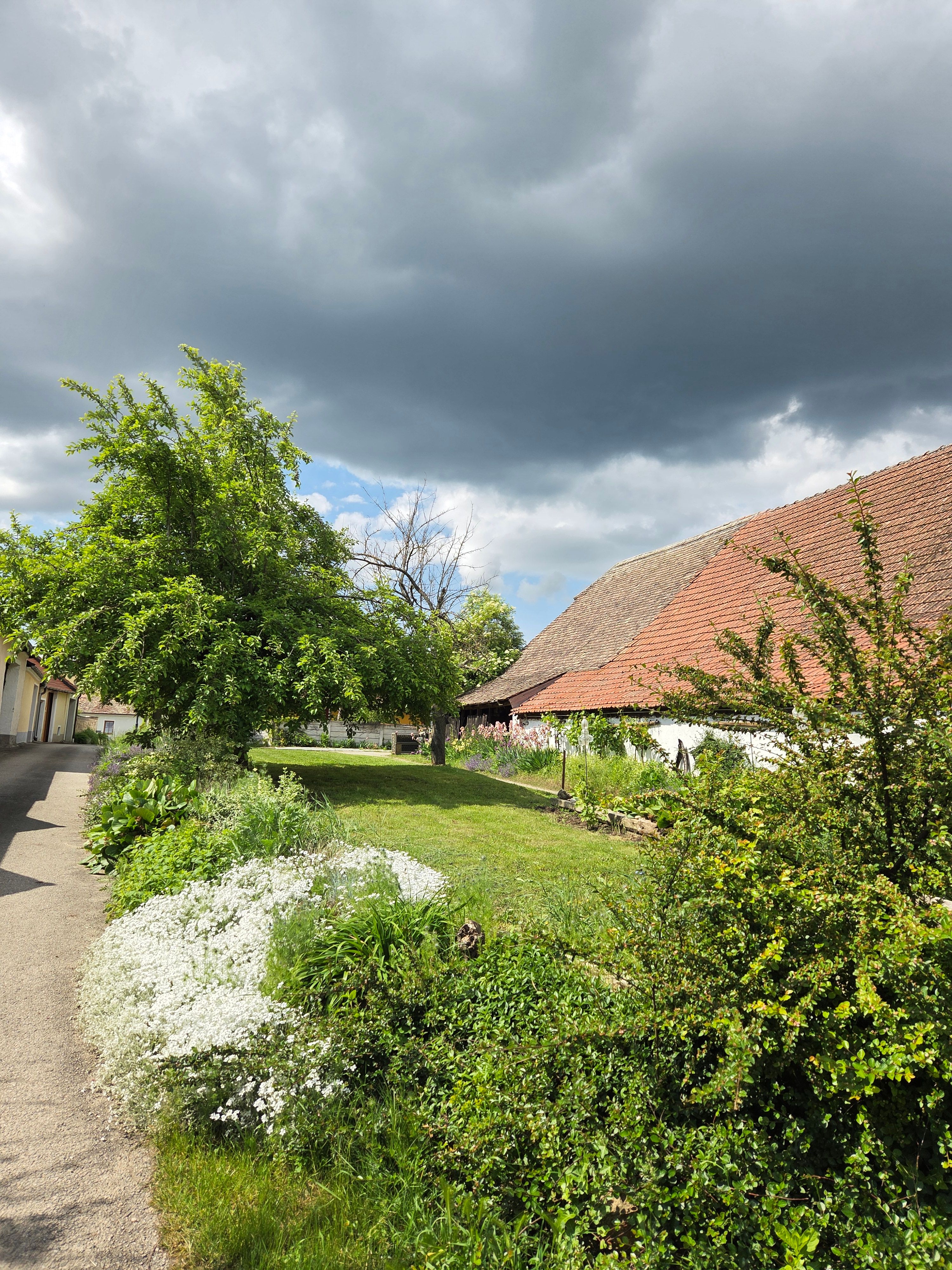Rural scene with a cloudy sky, green meadow and a building with a red tiled roof.