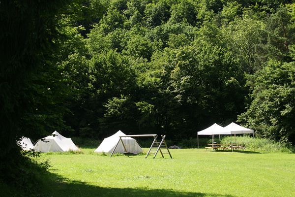 Tents and pavilion on a green meadow in front of a forest.