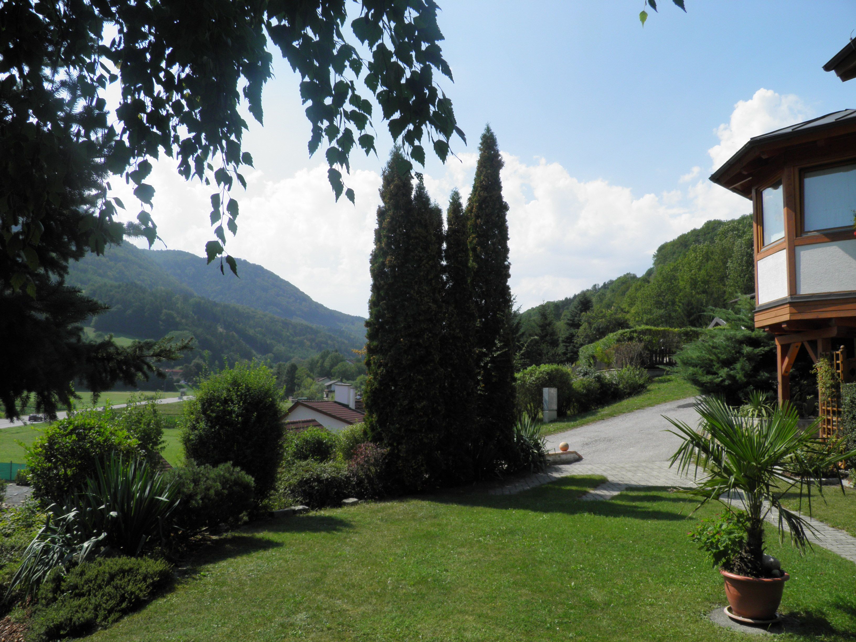 Garden with trees and view of wooded hills in the background.