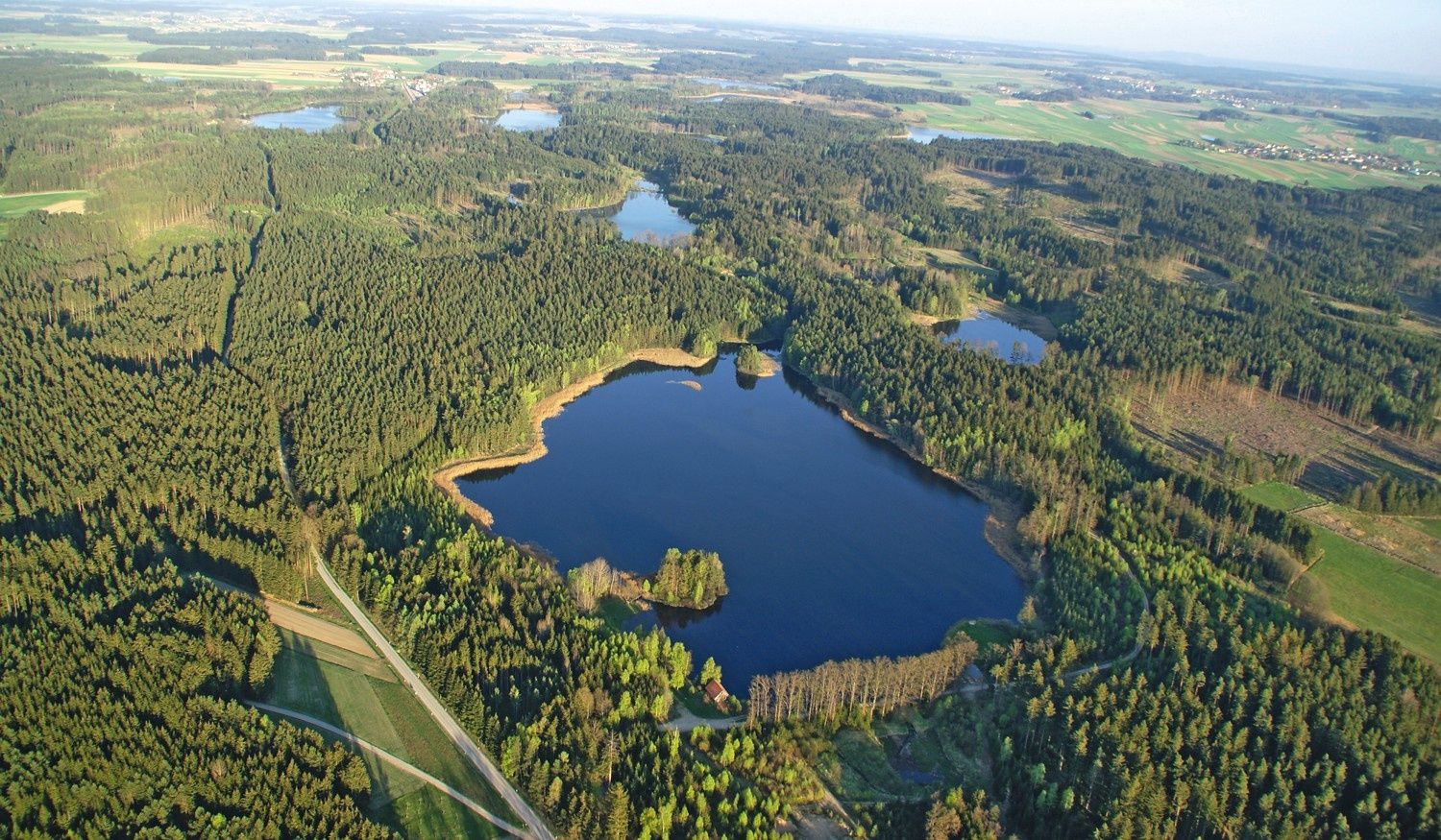 Hoheneich forest and ponds