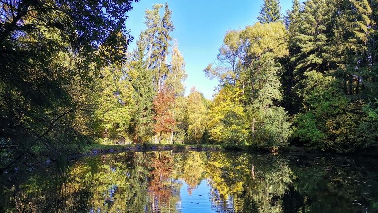 Idyllic walk to the Sachsenbrunn ponds