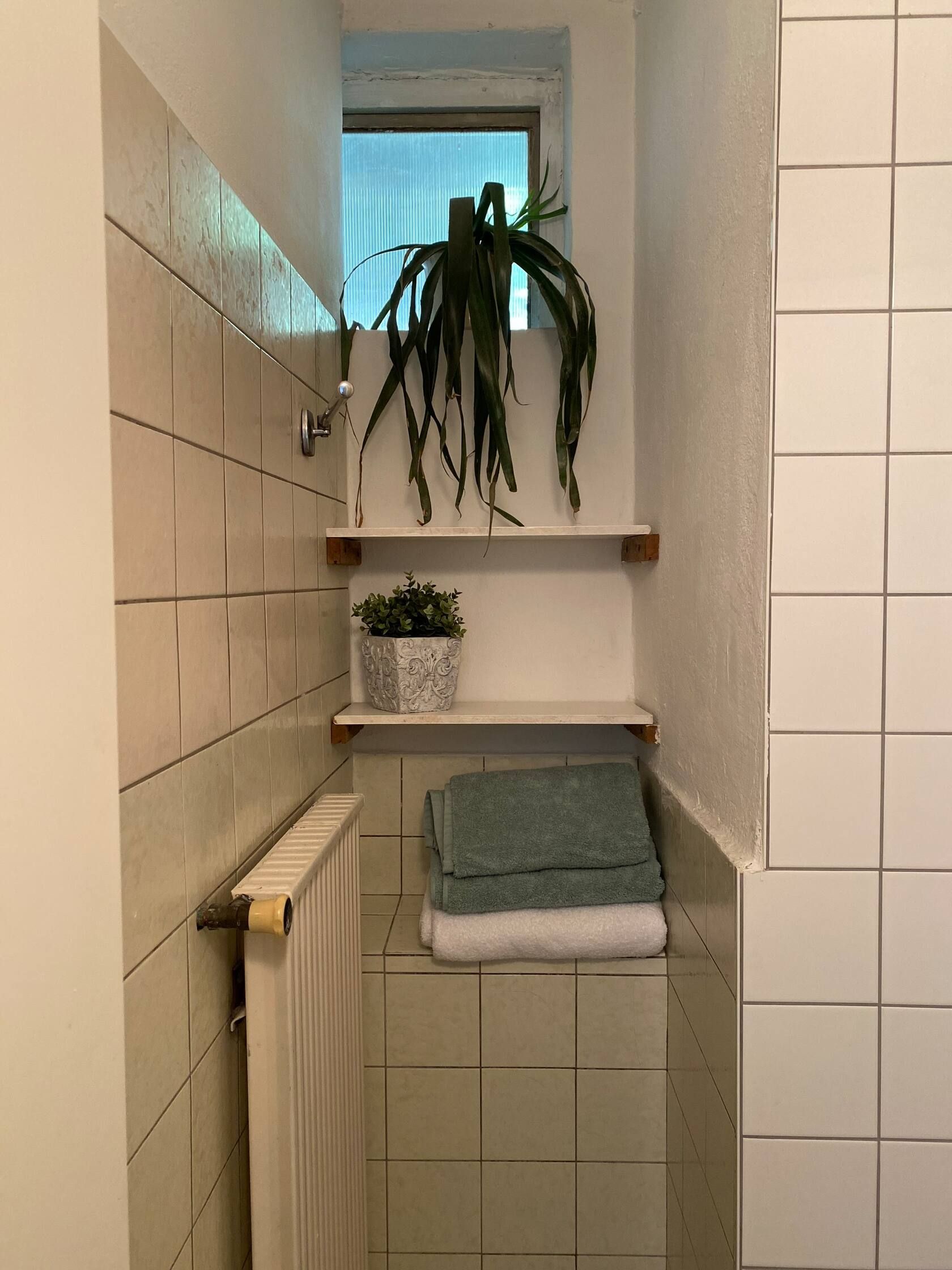 Bathroom with towels, plants and radiator.