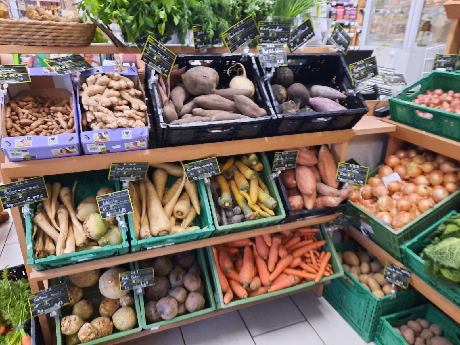 Fresh organic vegetables