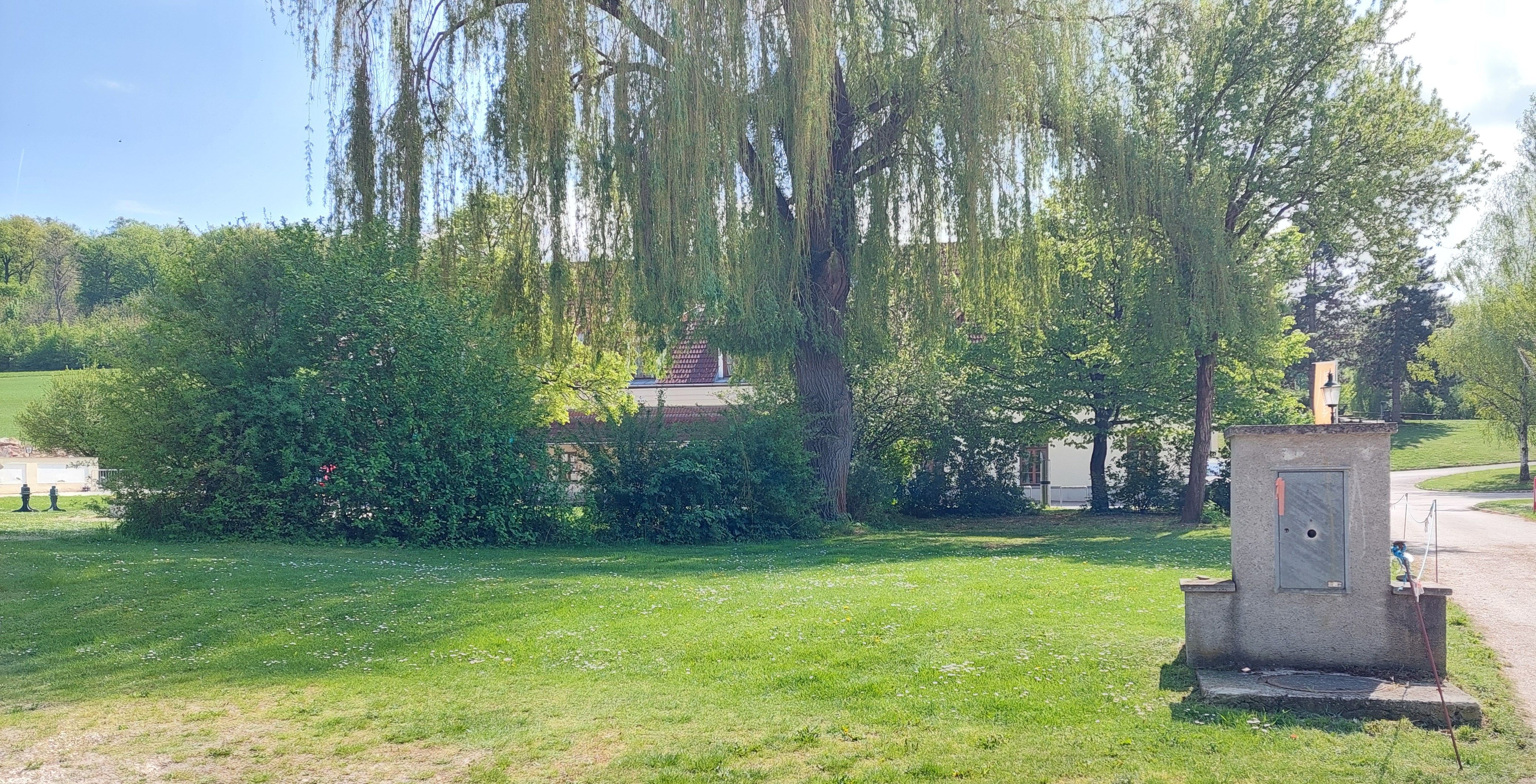 Green meadow with trees and a small building in the background.