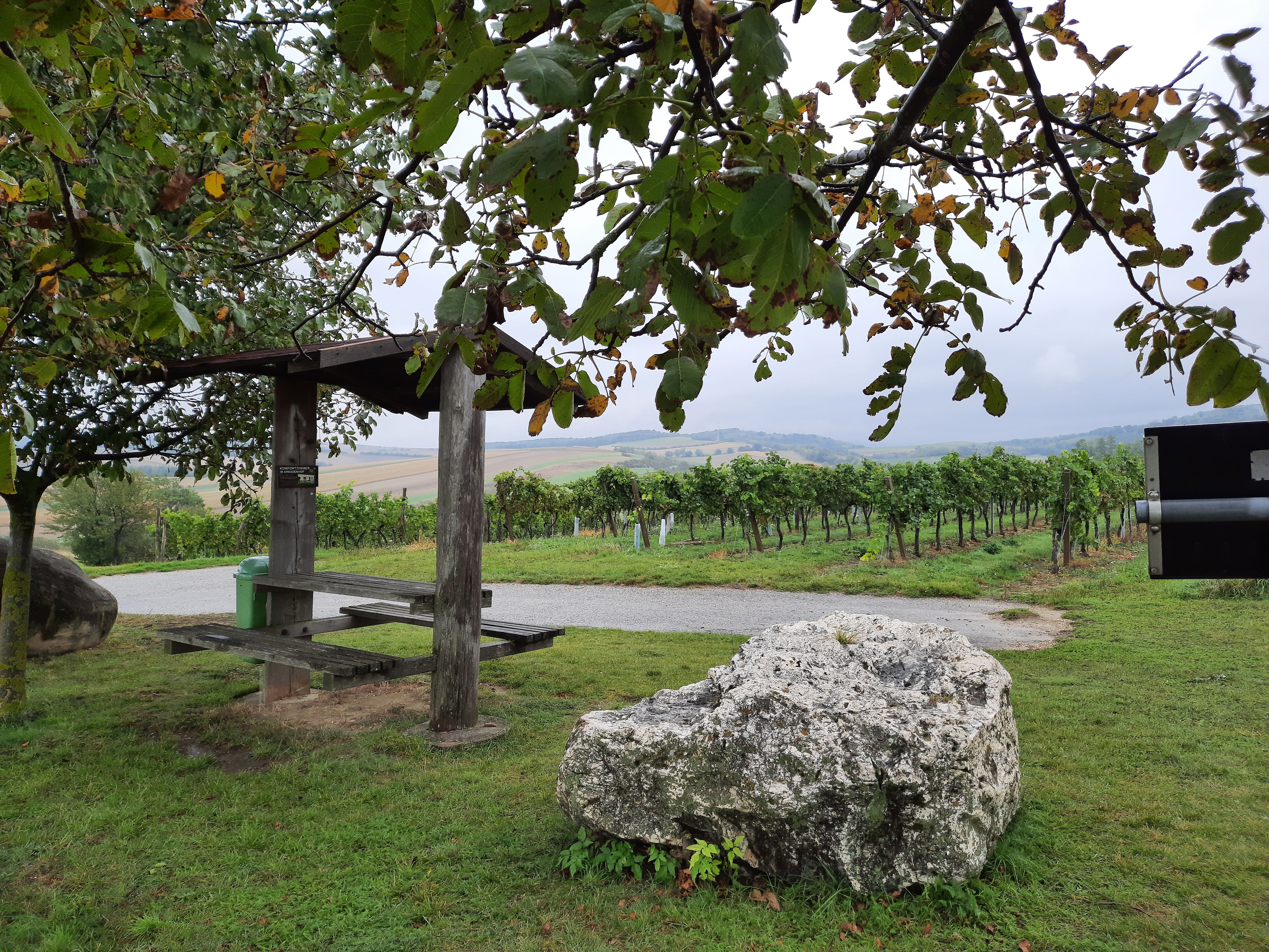 A rest area with wooden benches and a large stone in a vineyard, surrounded by green vines and trees.