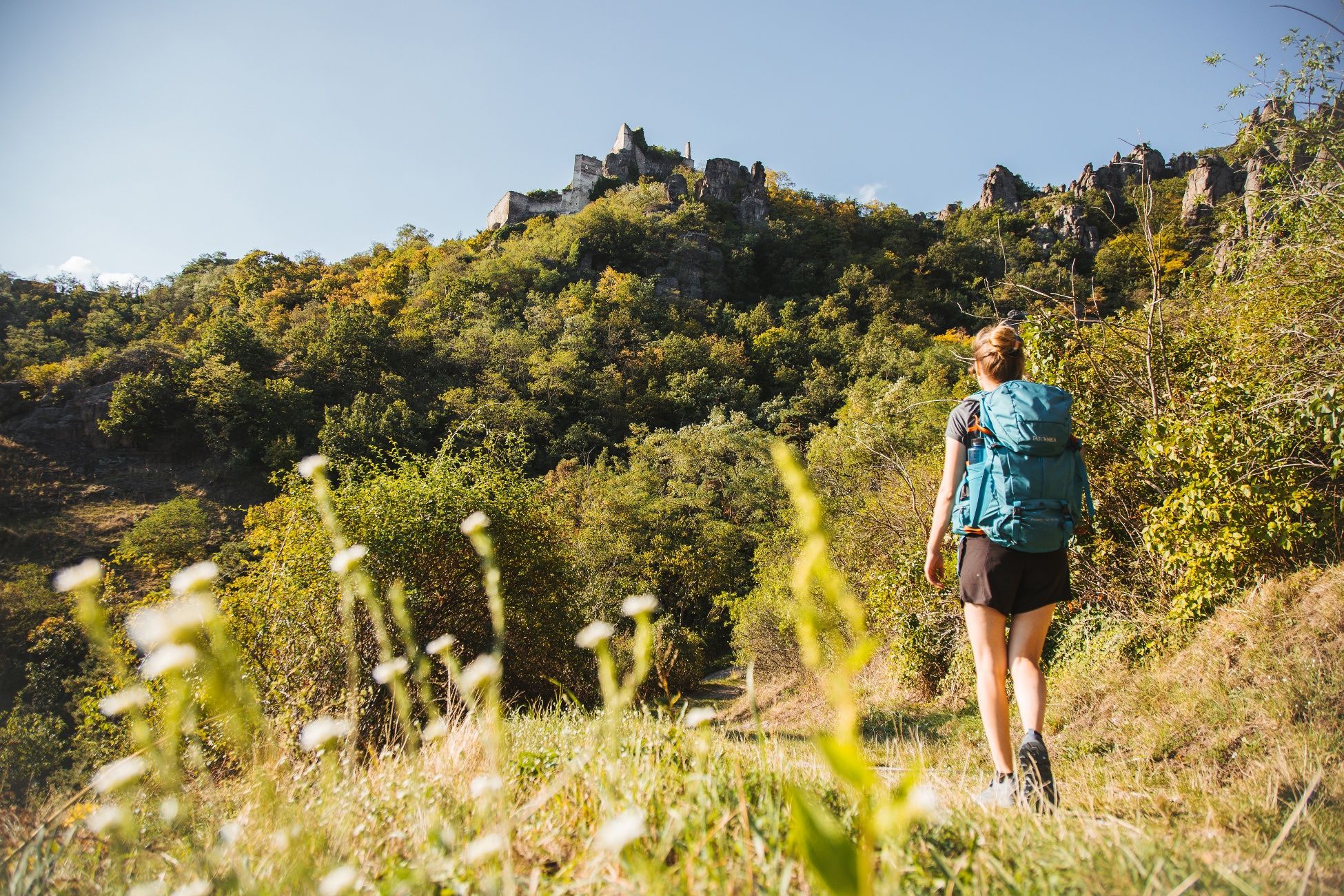 Dürnstein ruins