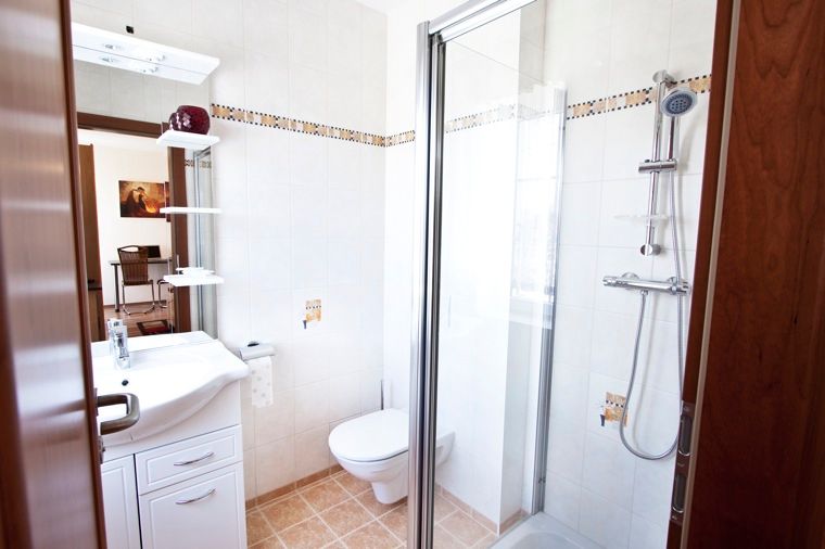 Modern bathroom with shower, washbasin and toilet.