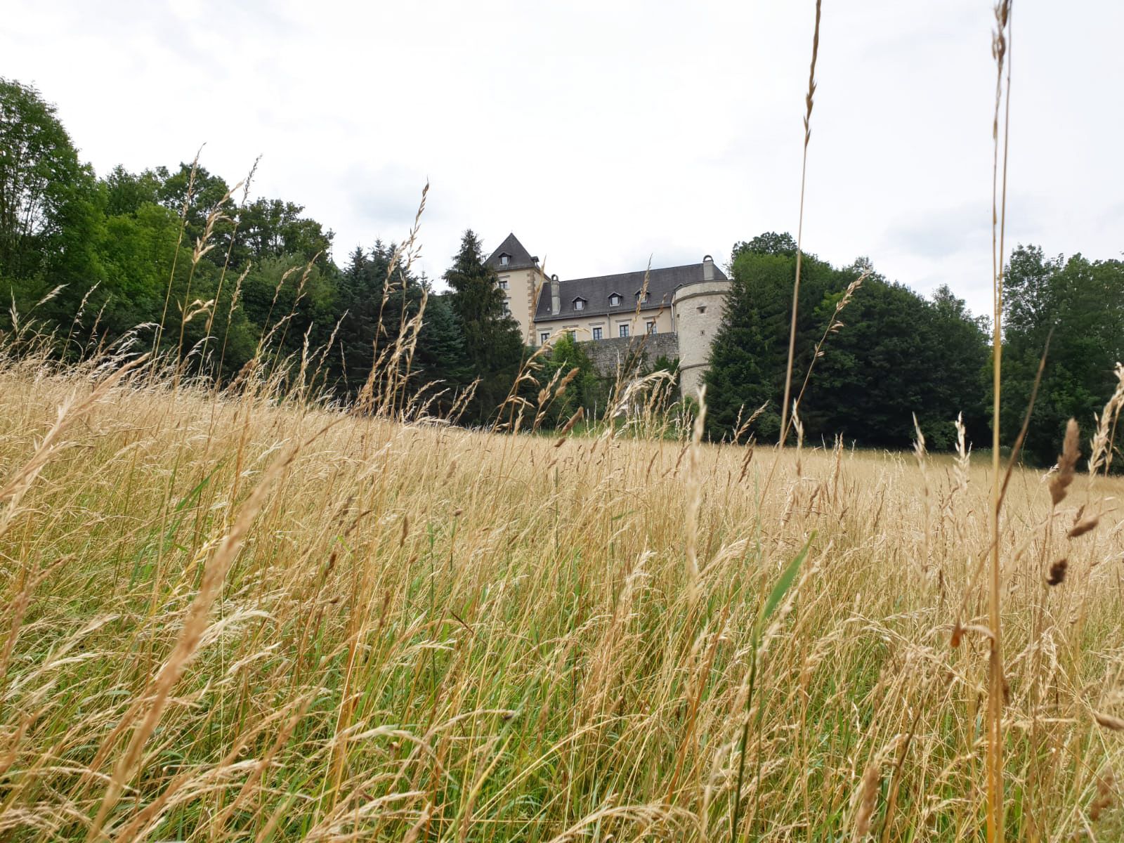 Neuhaus Castle