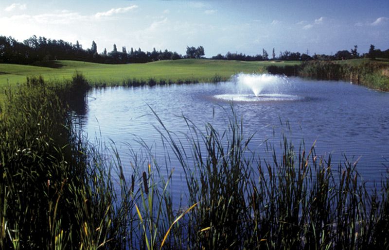 A golf course with a pond and a fountain, surrounded by grass and trees.
