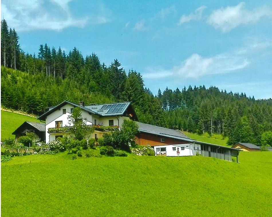 Seppenbauer farm in summer