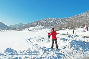 Cross-country skiers on a snow-covered trail in a wintry landscape.