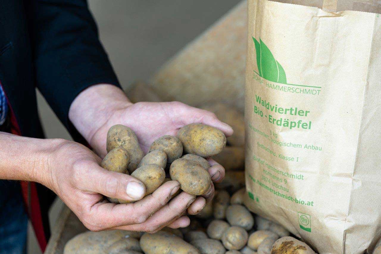 Hammerschmidt organic farm