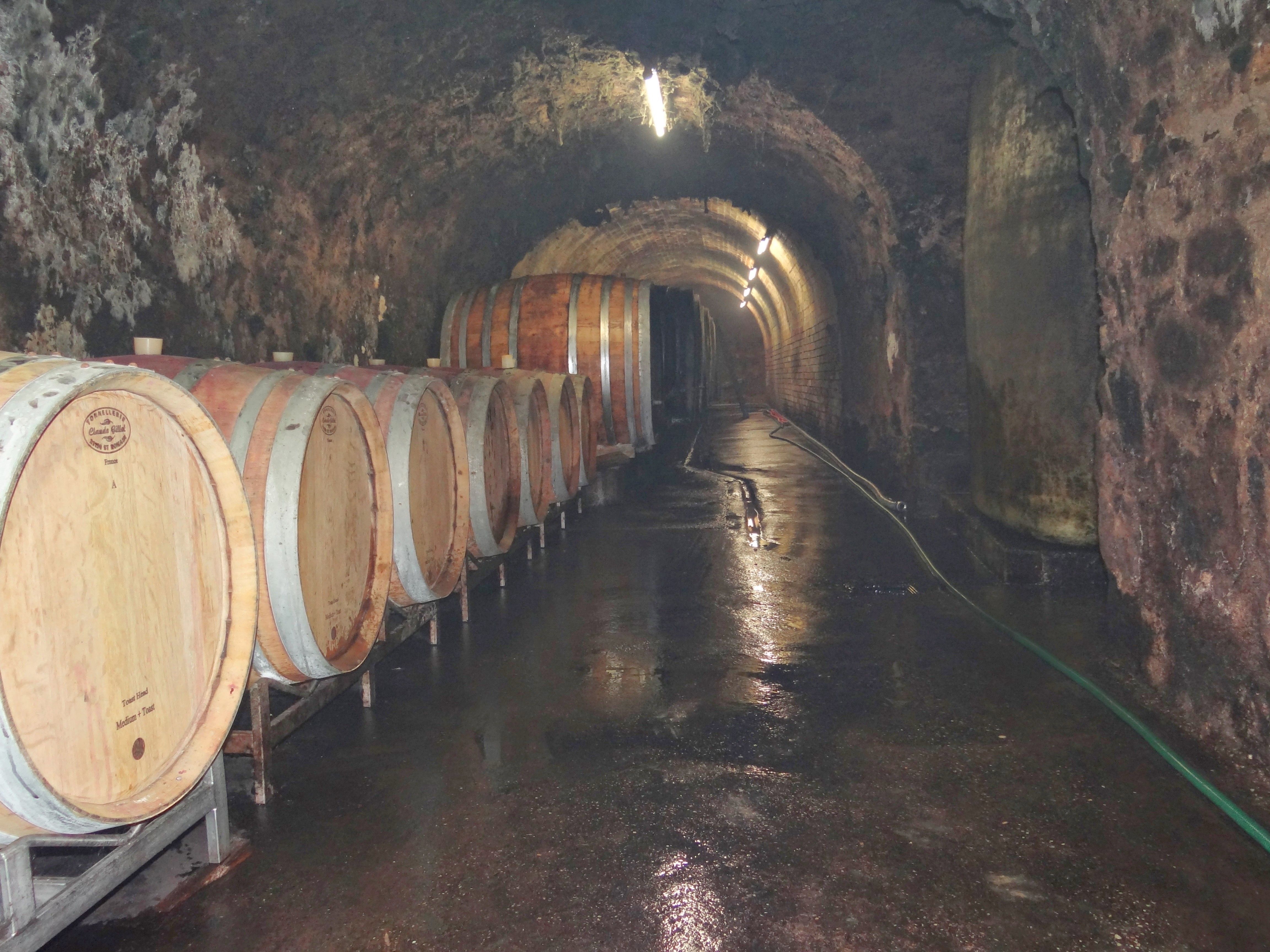 Vaulted cellar red wine