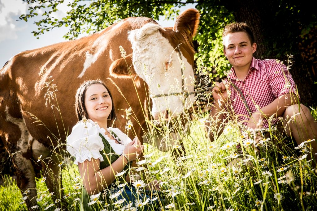 Sonnhalmberg farm cheese dairy