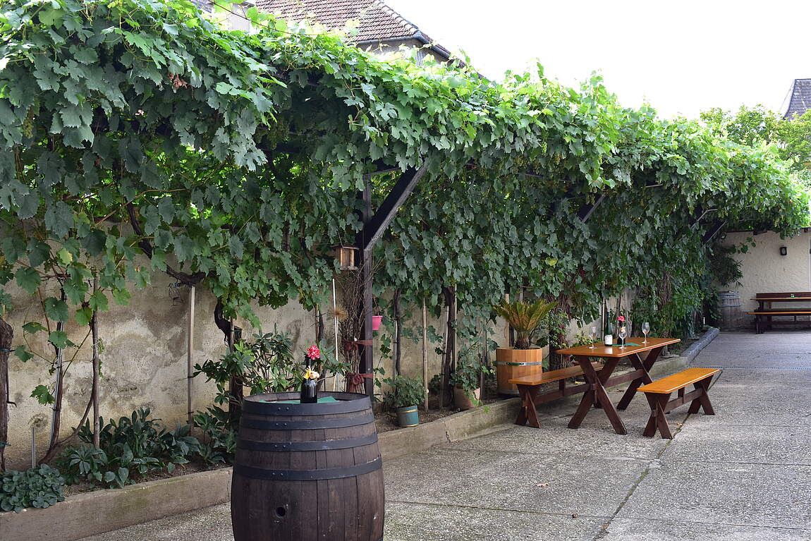 Freisingerhof Winery Leitner
